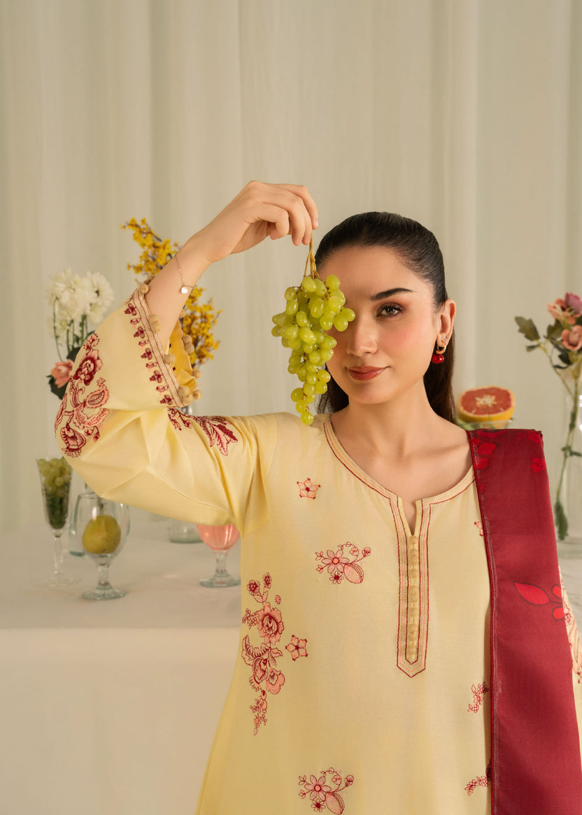 Zaviya embroided 3pc