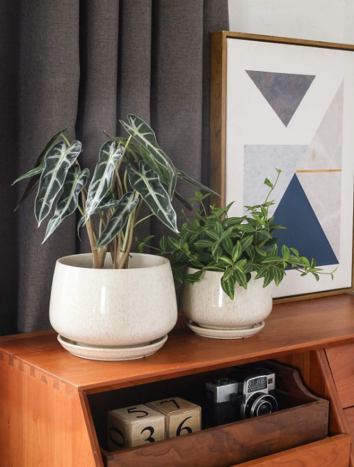 4.1+5.1+6.5 inch, Set of 3, Ceramic Planters with Drainage Hole and Saucer, Indoor Flower Pot with Hole Mesh Pad, Gifts for Mom, Reactive Glaze Beige