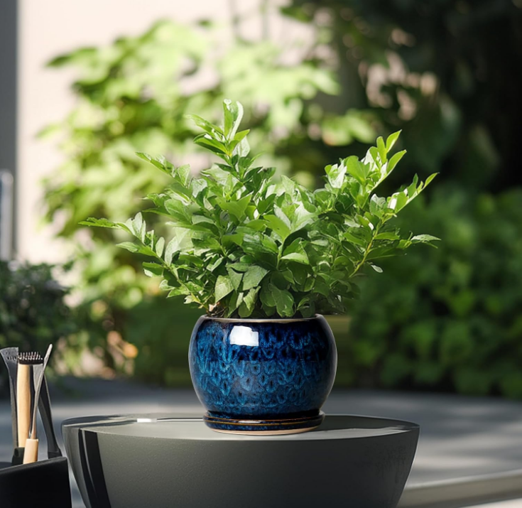 6 Inch Plant Pot - Ceramic Planter Pot with Drainage Hole and Saucer, Succulent Pot Round Flower Pot for Indoor Plants Outdoor, Blue