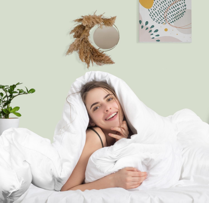 Comforter Duvet Insert, Quilted Comforter with Corner Tabs, Box Stitched Down Alternative Comforter Queen (White)