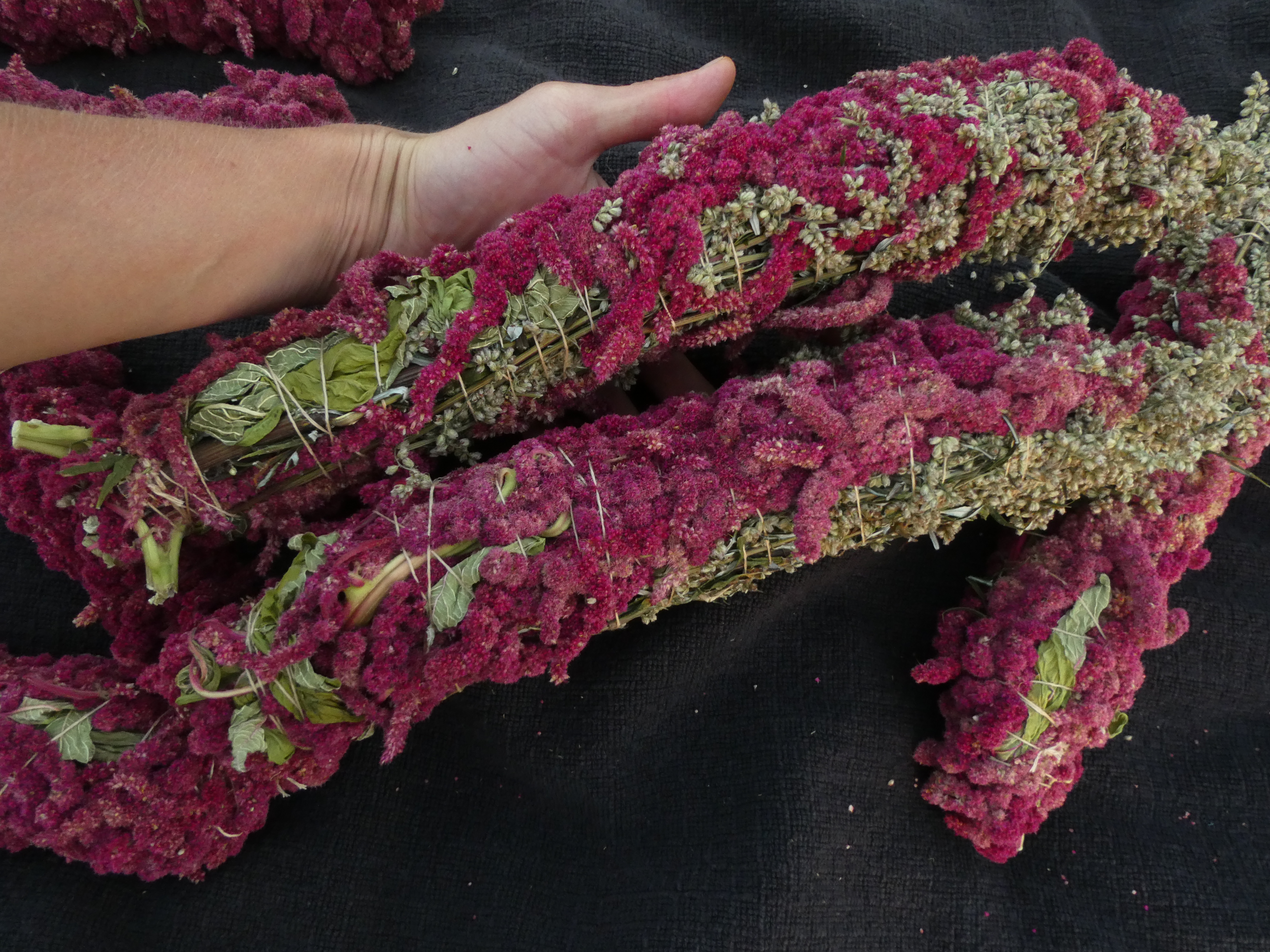 CEREMONINIS Kiečio Ir Burnočio Ryšulėlis Smilkymui