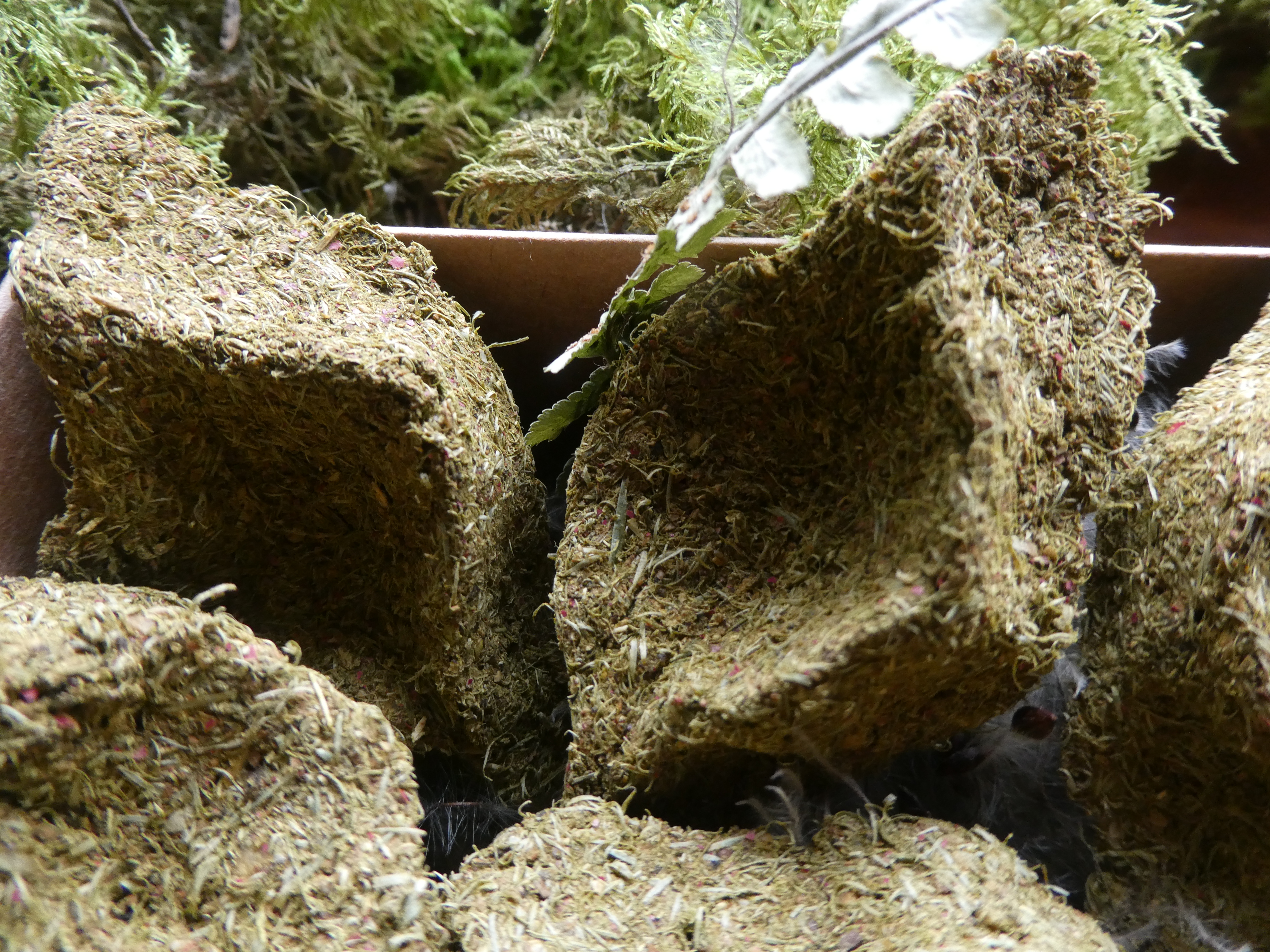 KANAPINIAI Kadaginiai Smilkalai Namų Dvasiukai