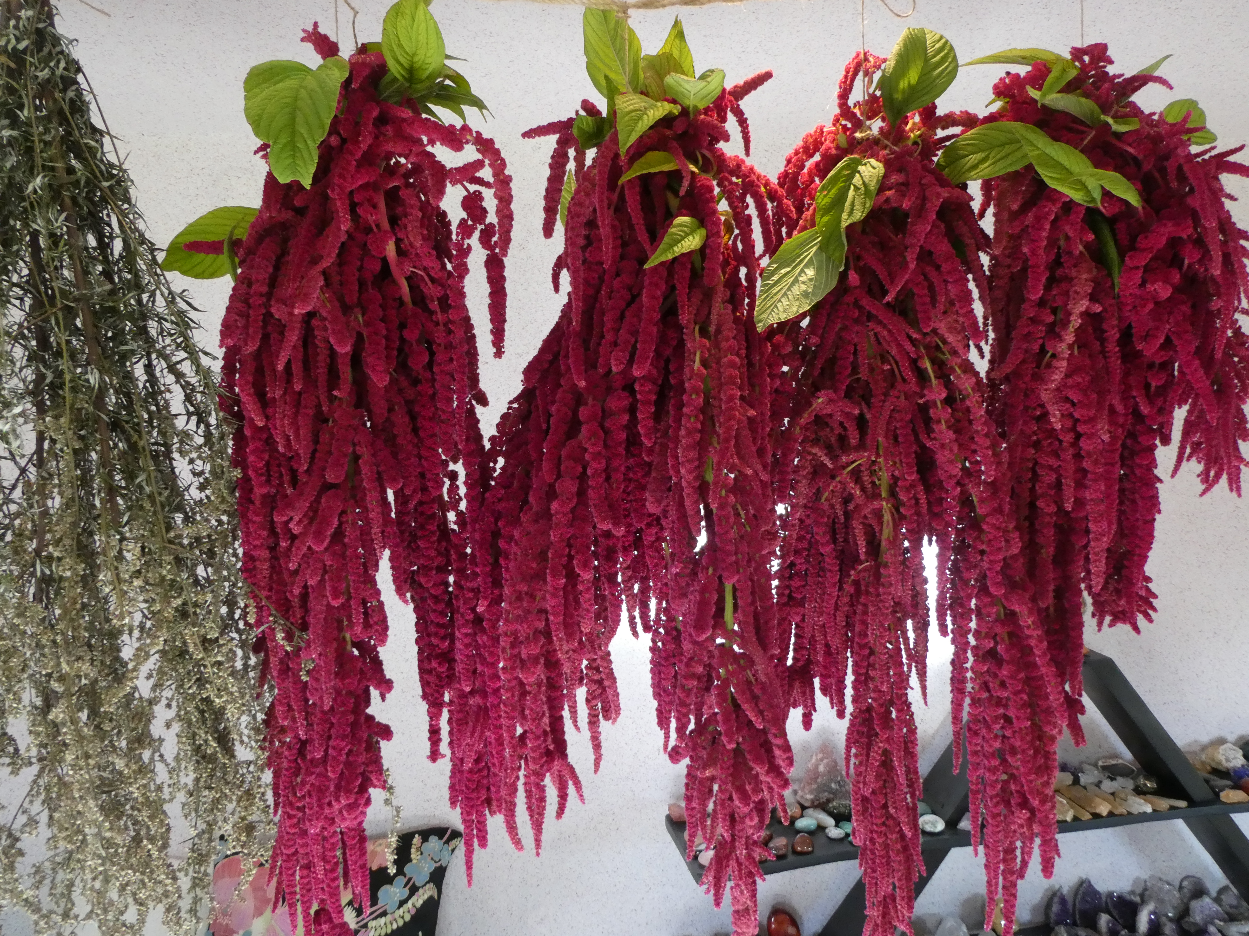 CEREMONINIS Kiečio Ir Burnočio Ryšulėlis Smilkymui