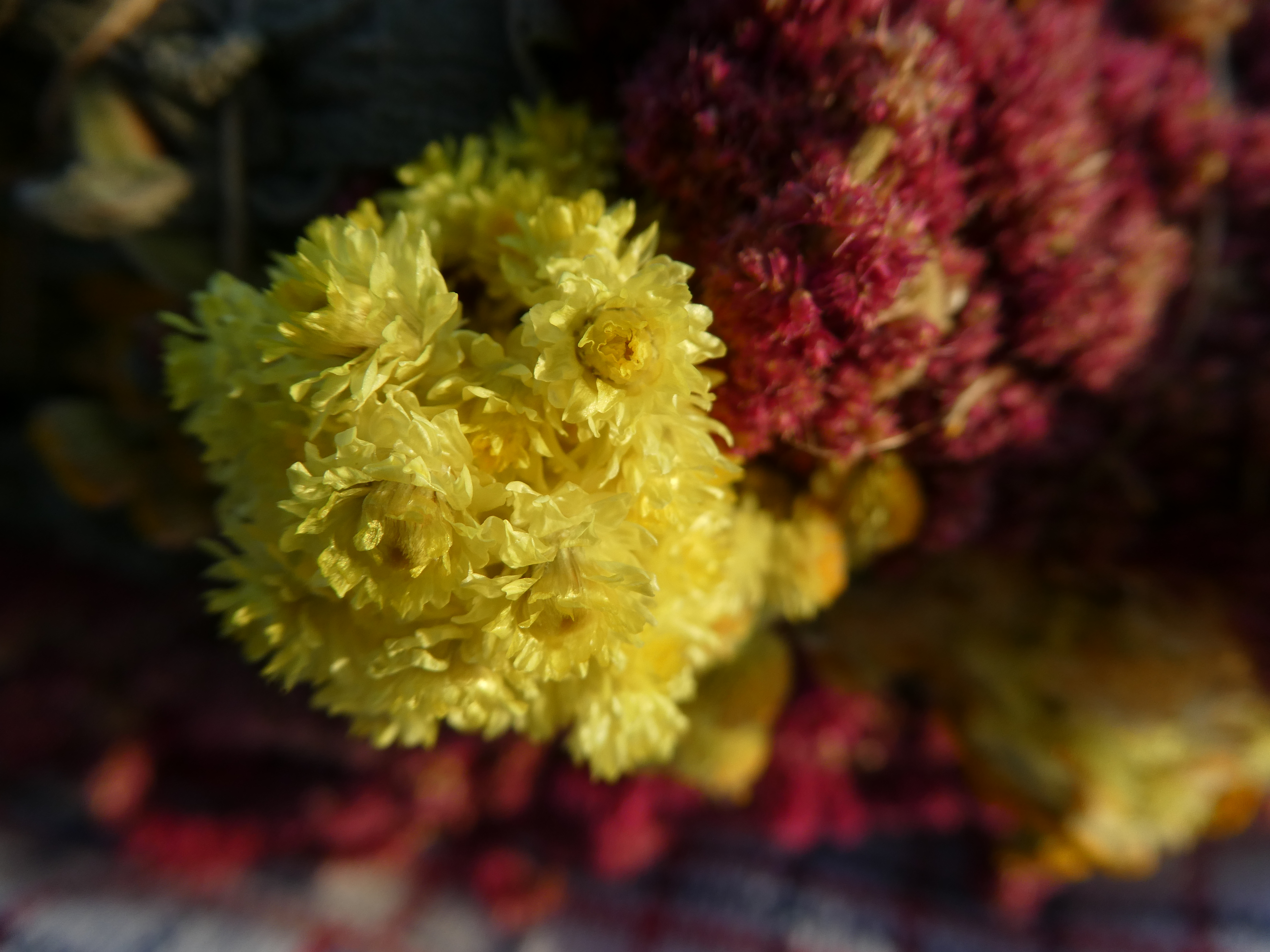 Nuostabaus Grožio Smilkymo Ryšulėlis 