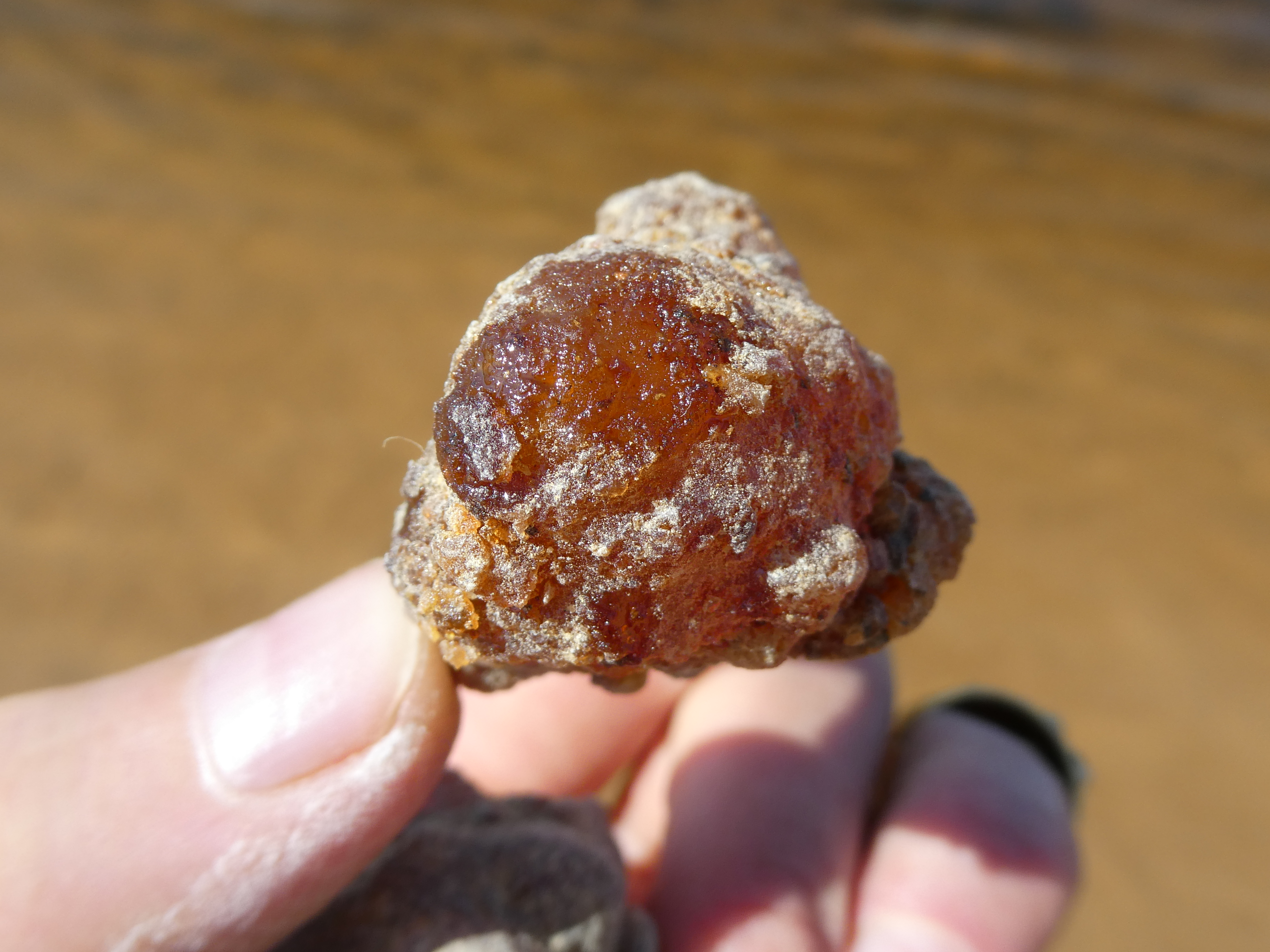 MIROS DERVA /Somalis