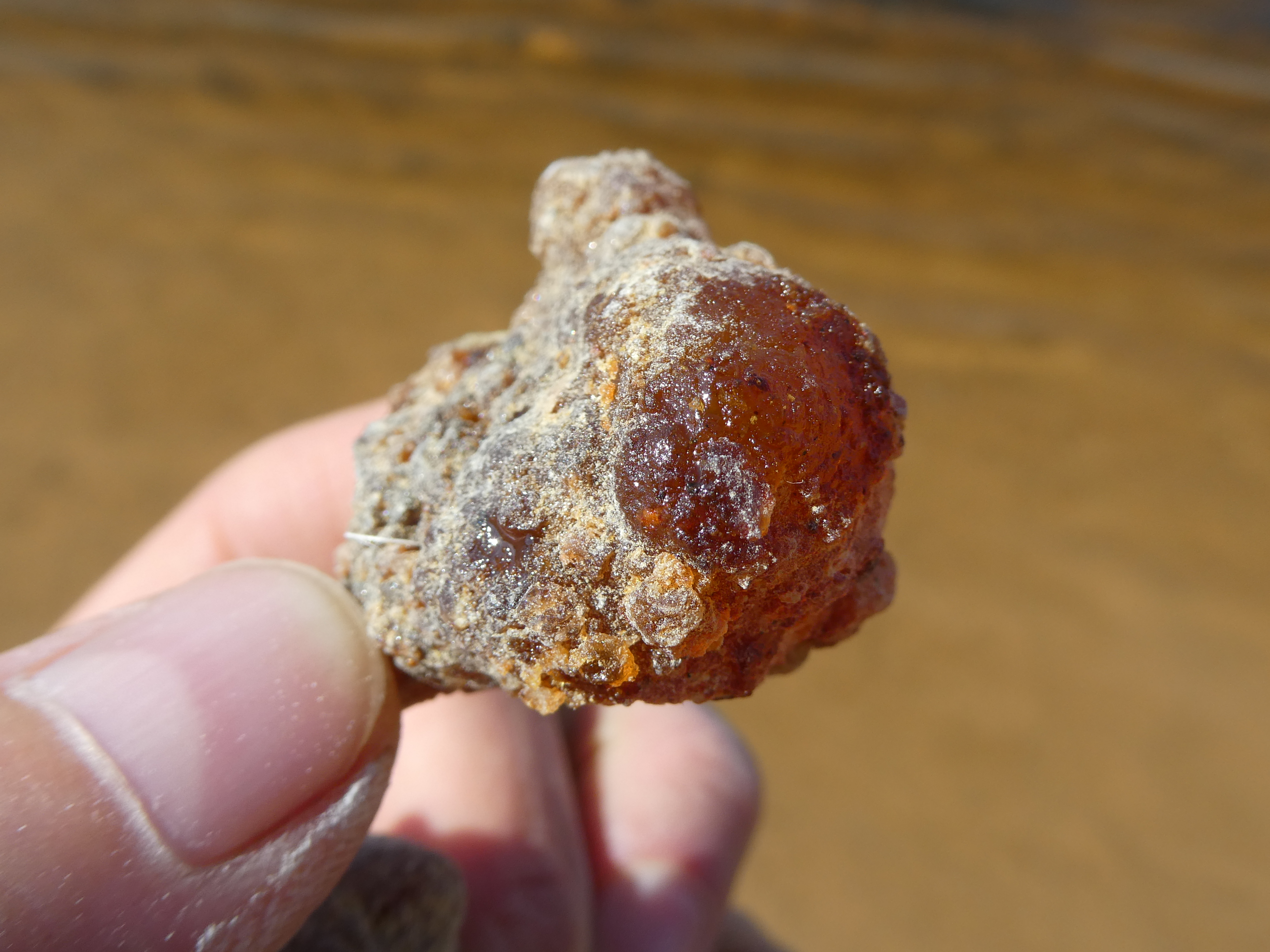 MIROS DERVA /Somalis