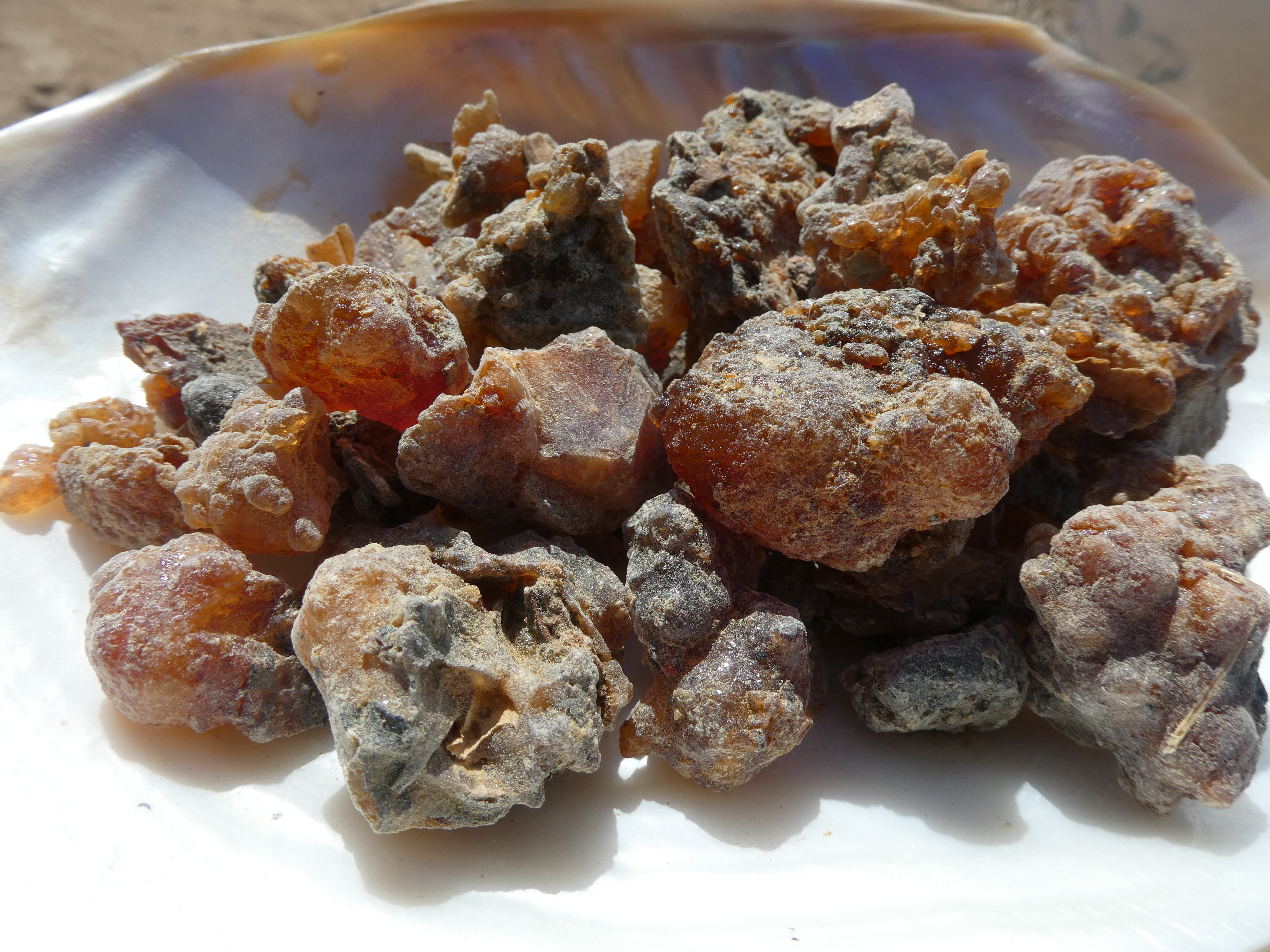 MIROS DERVA /Somalis