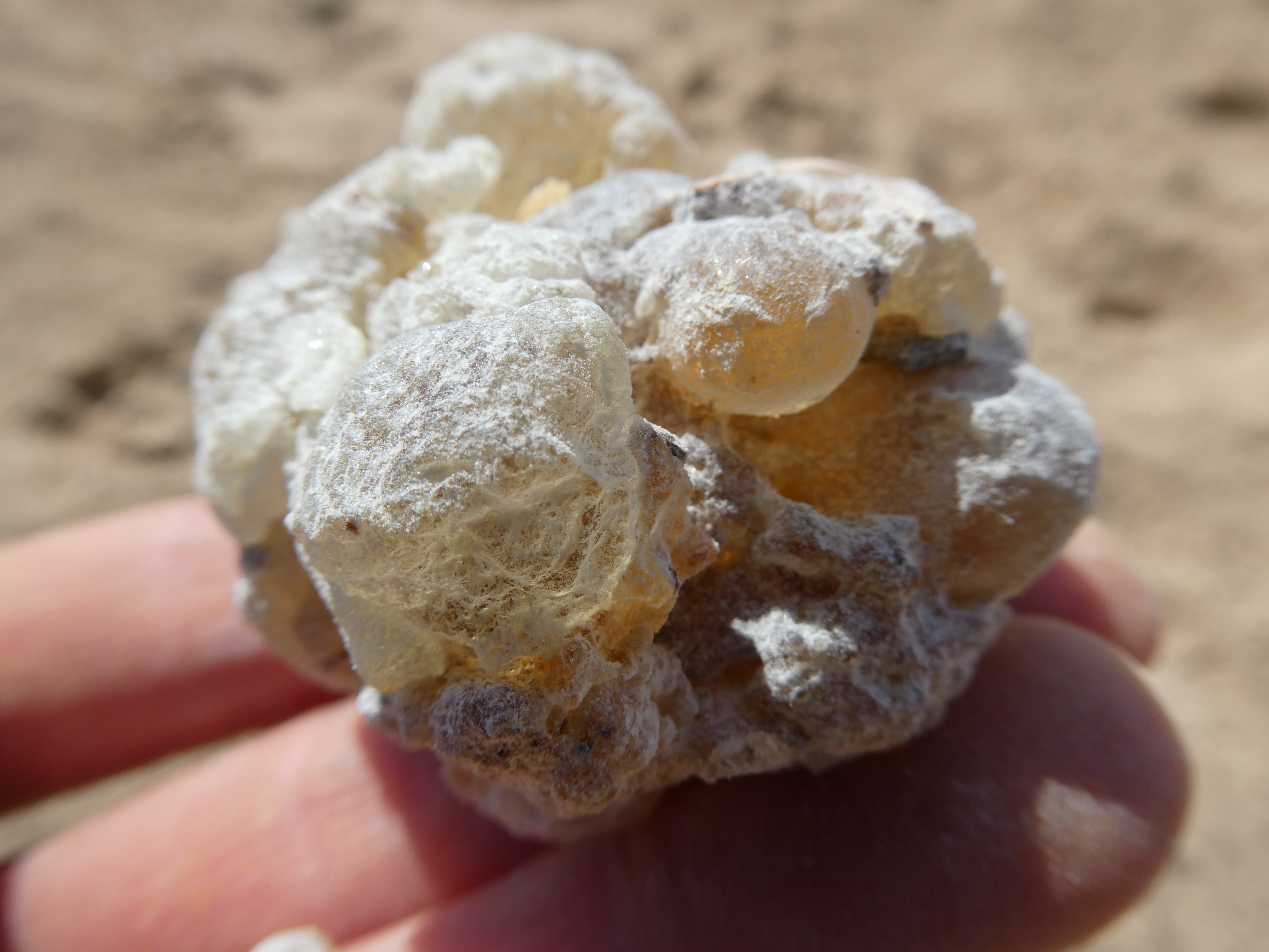 FRANKINCENSE DERVA /Somalis