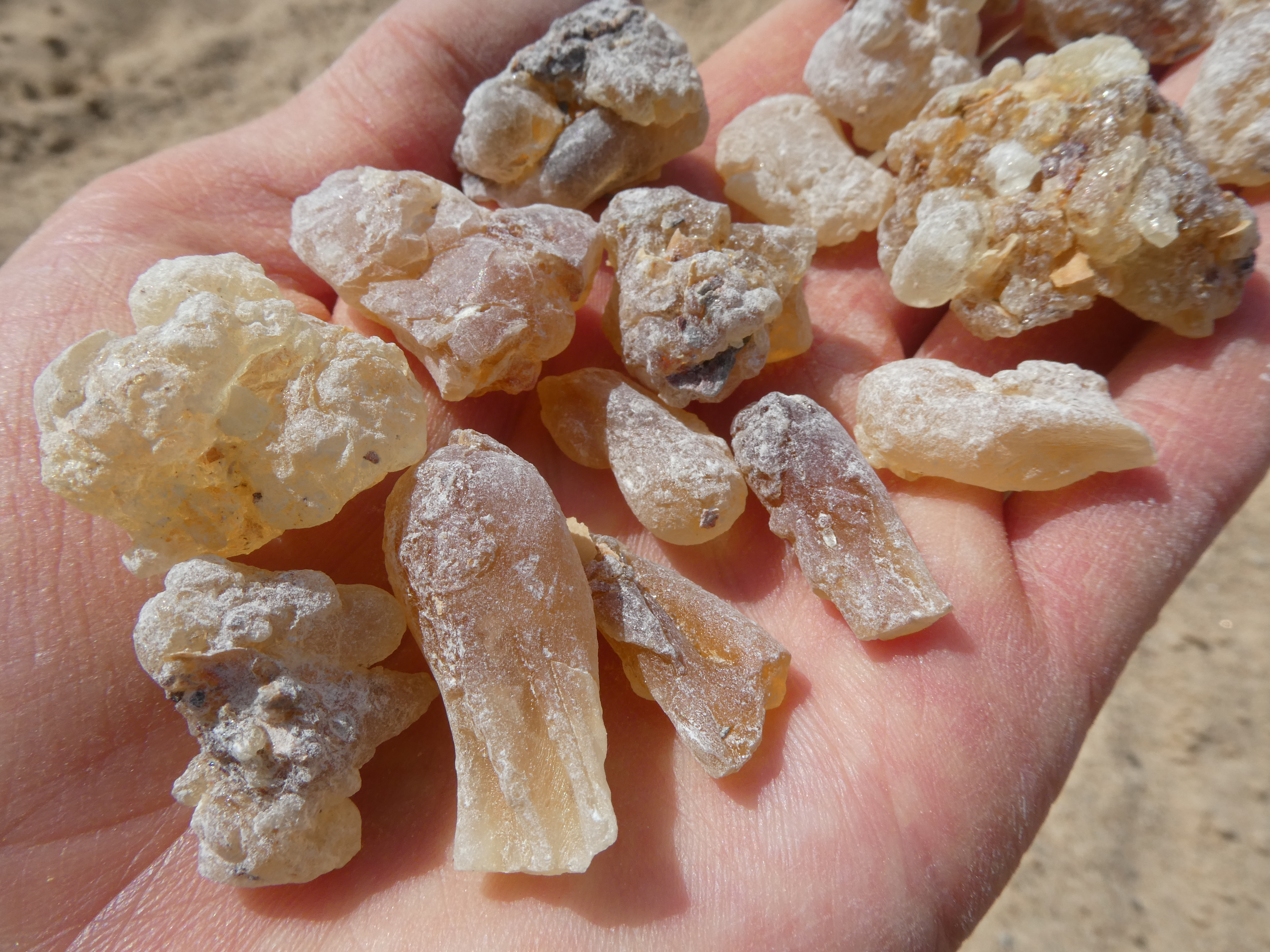 FRANKINCENSE DERVA /Somalis