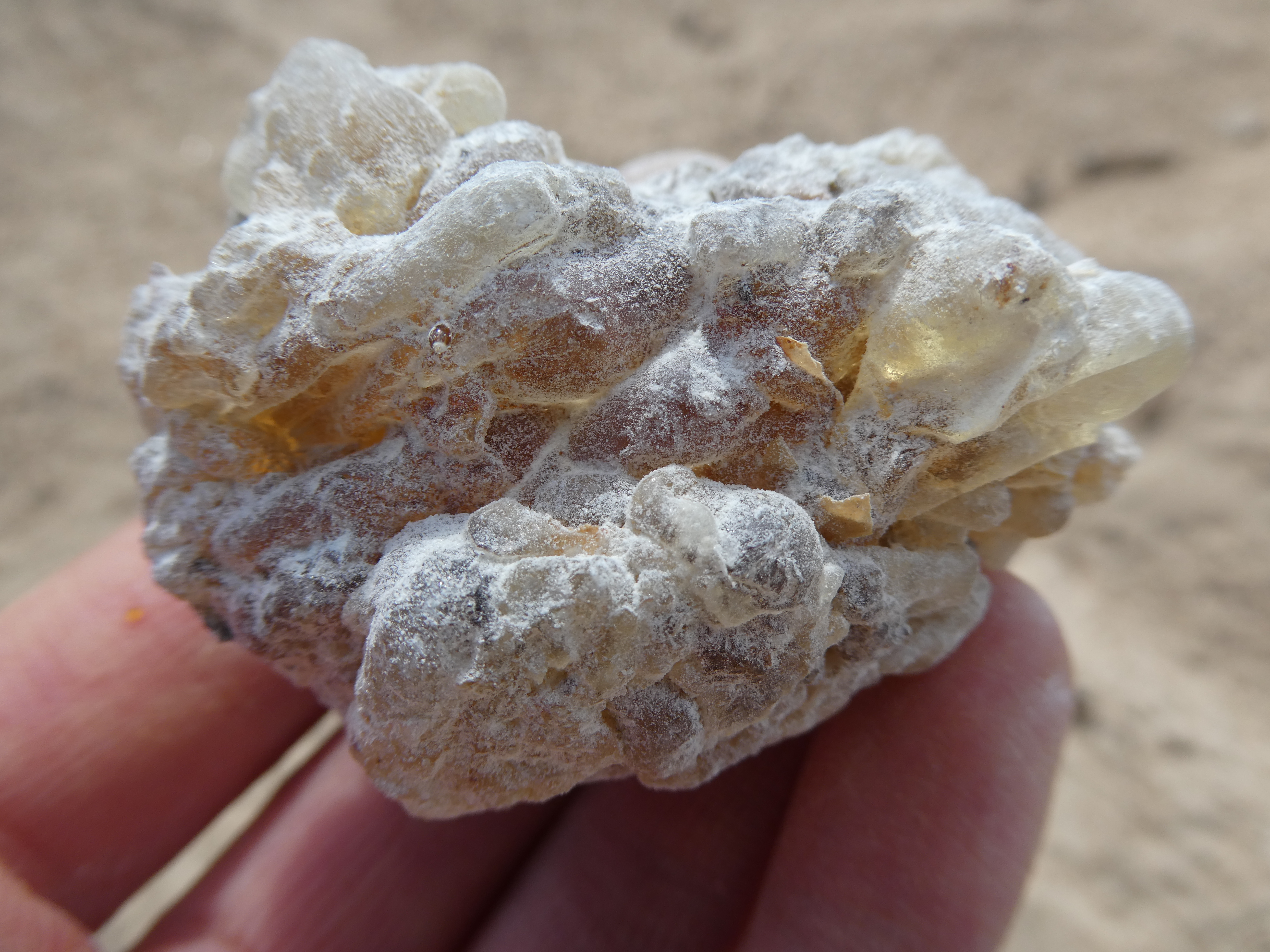 FRANKINCENSE DERVA /Somalis