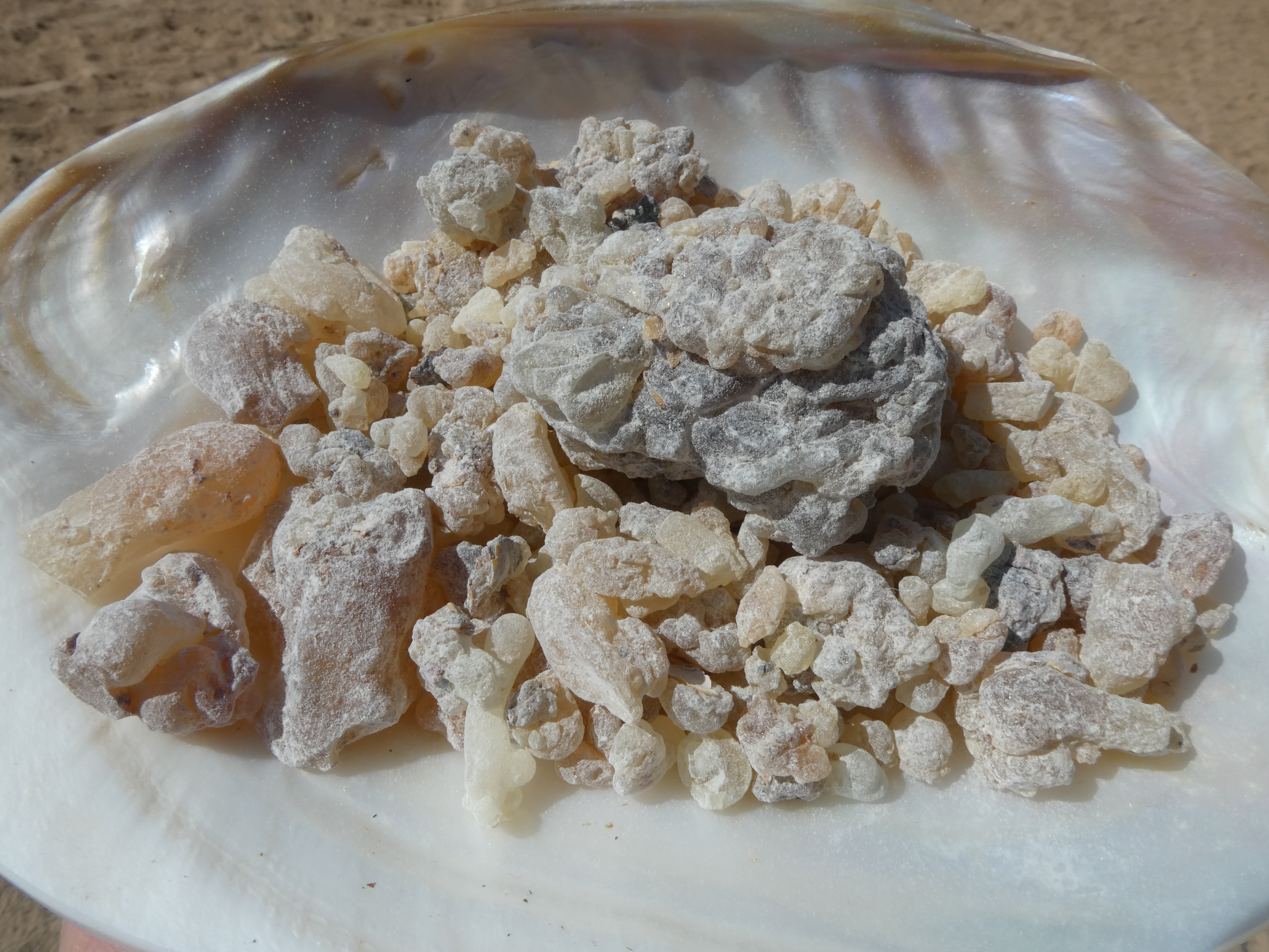 FRANKINCENSE DERVA /Somalis