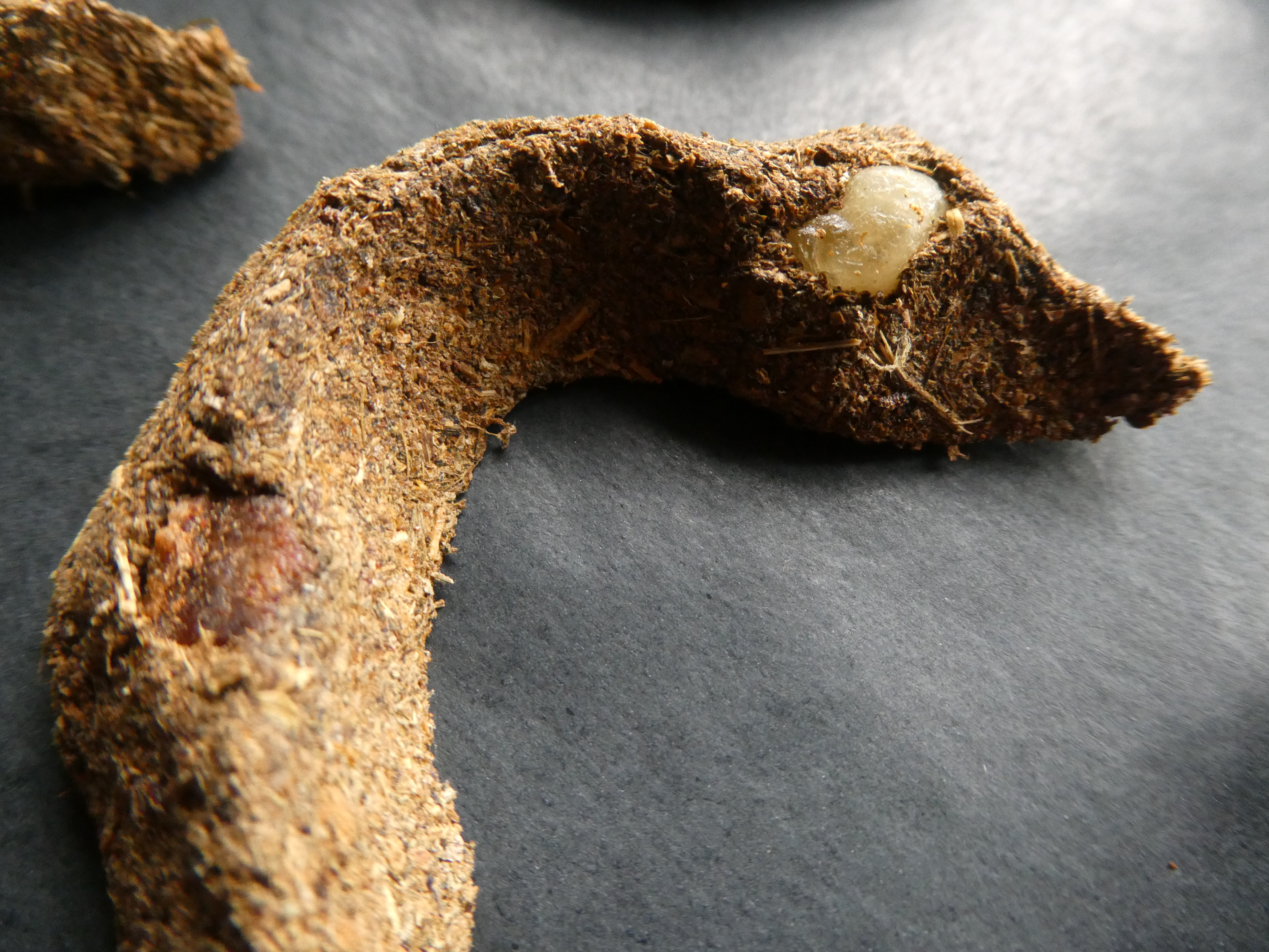 LAILA Smilkalai Su Frankincense, Mira, Gintaru, Bičių Pikiu