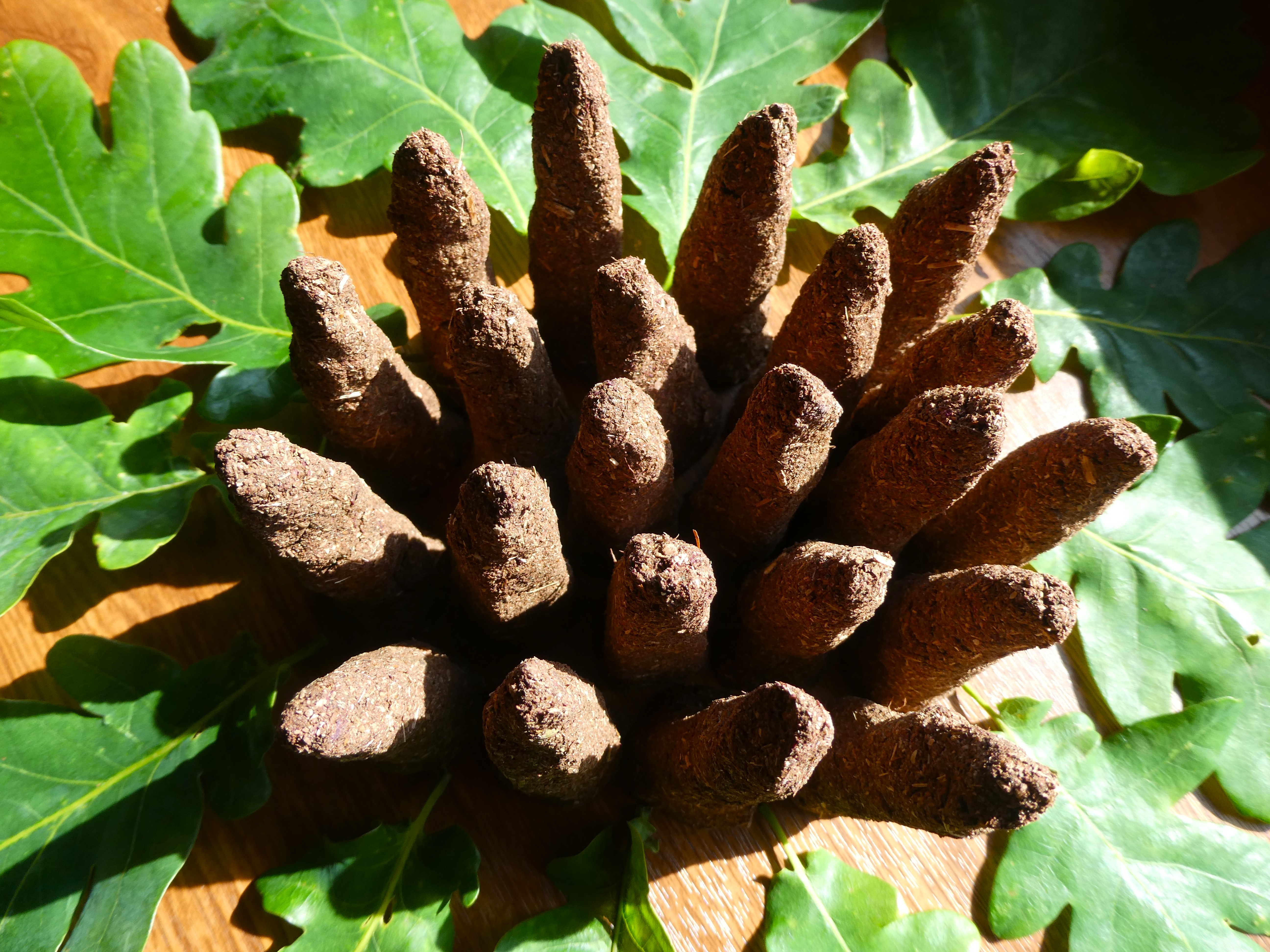 'AUKURAS' Smilkalai Su Ąžuolu, Rože, Jonažole, Jazminu, Peletrūnu, Bitkrėsle, Kanape