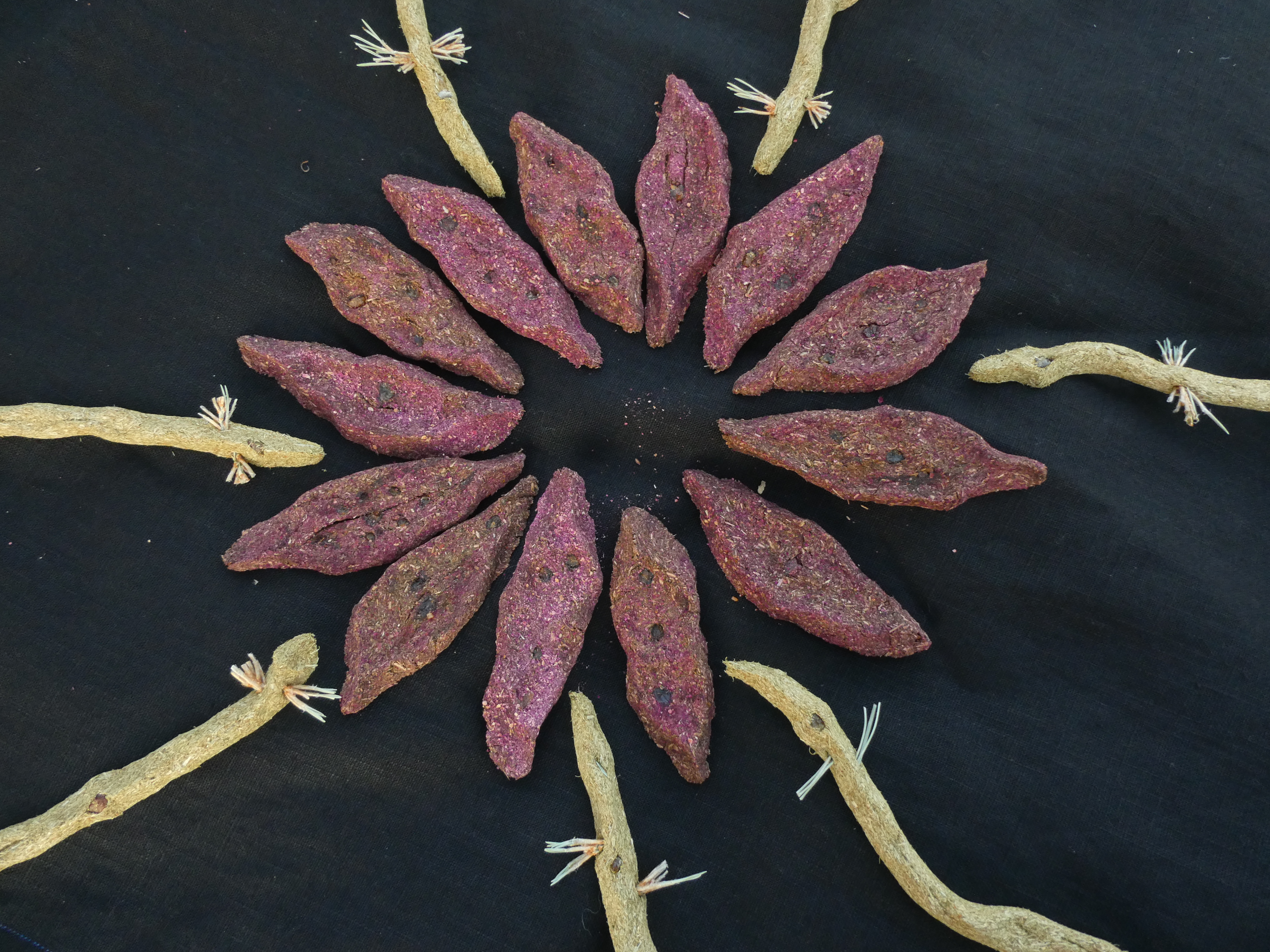 MEDŽIO DRAKONAS Spygliuočių Smilkalai 💚 Kadagio Smilkalai Su Egle Ir Pušimi 🌲🐲🔥