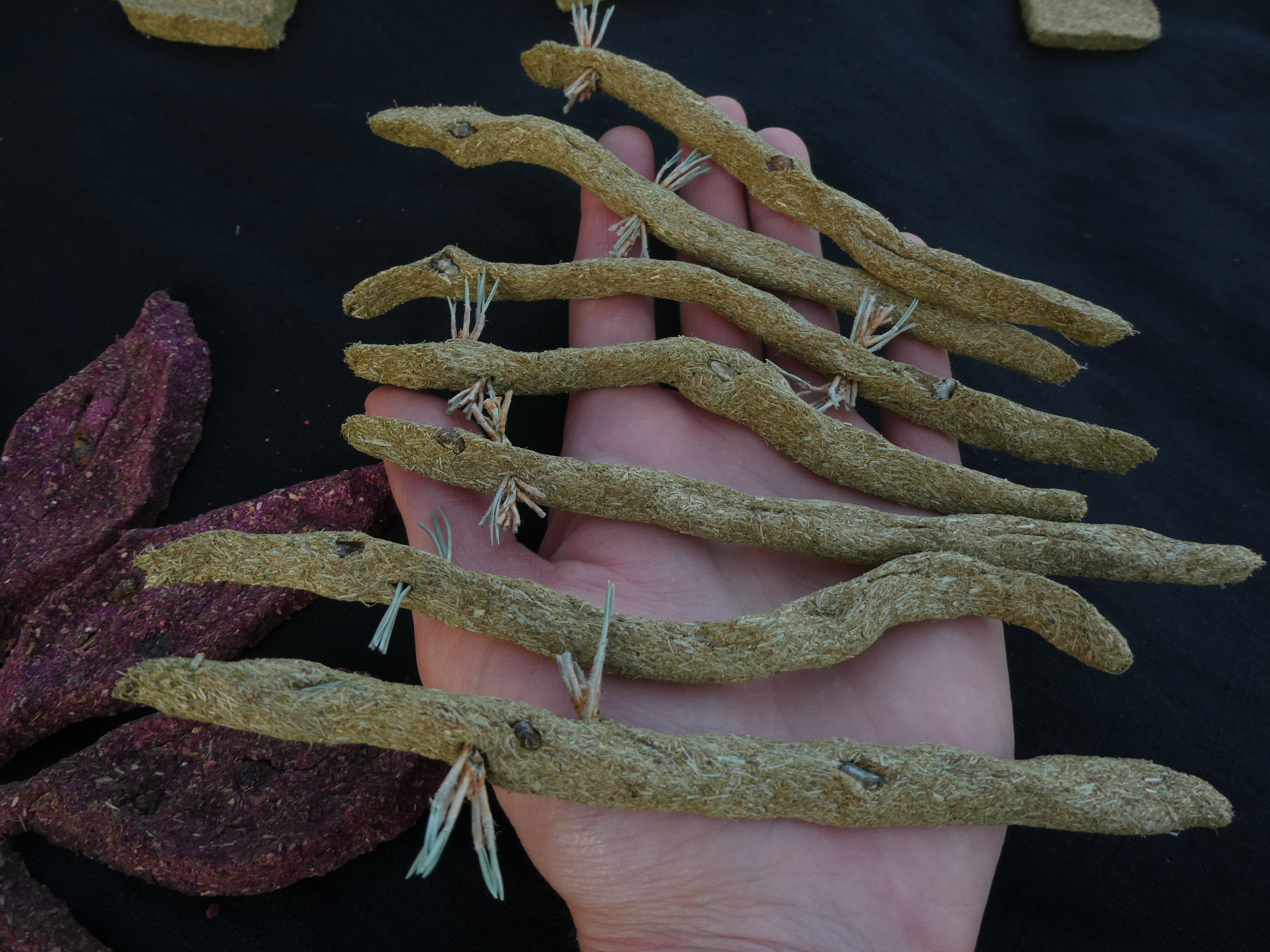 MEDŽIO DRAKONAS Spygliuočių Smilkalai 💚 Kadagio Smilkalai Su Egle Ir Pušimi 🌲🐲🔥