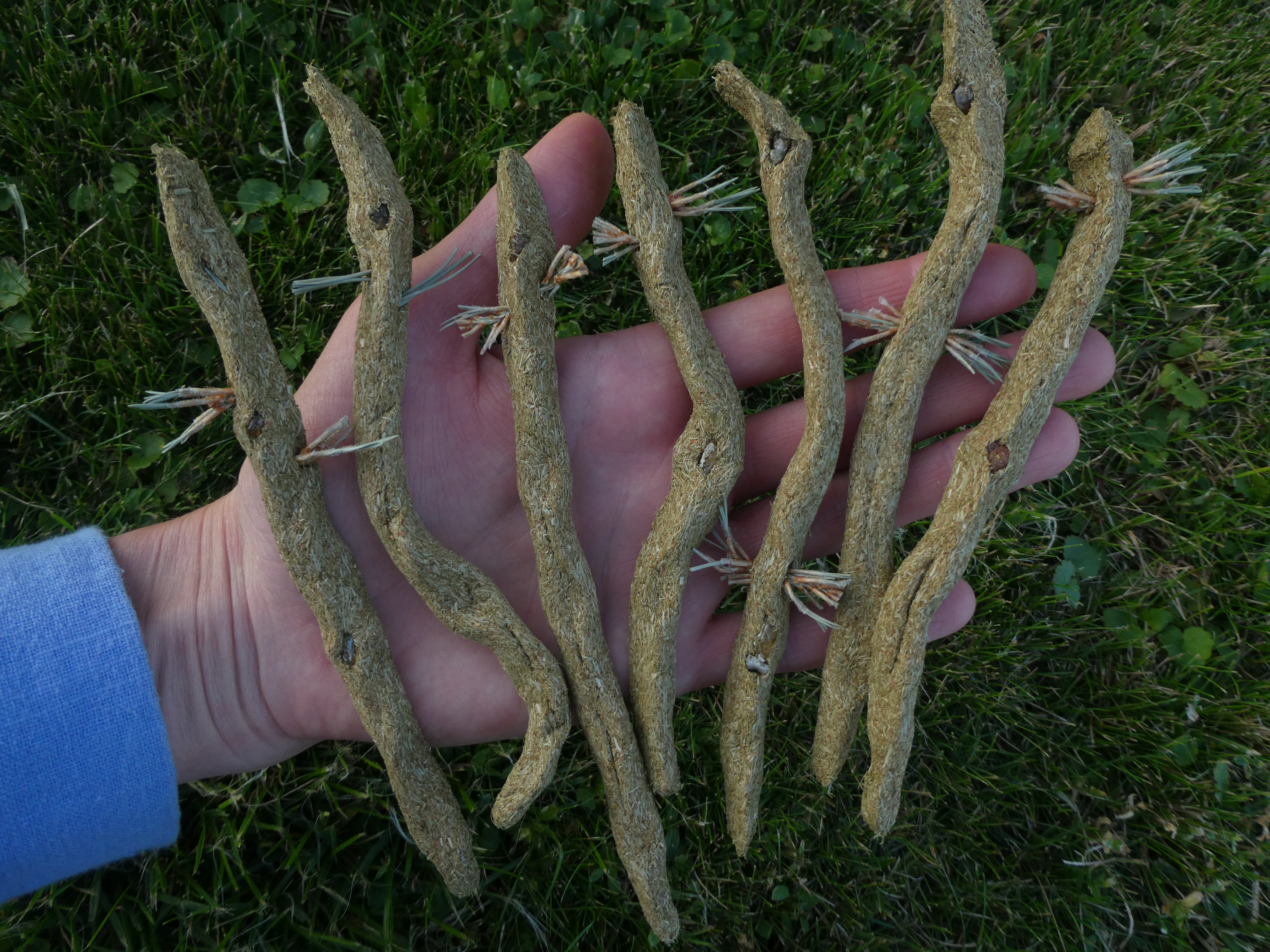 MEDŽIO DRAKONAS Spygliuočių Smilkalai 💚 Kadagio Smilkalai Su Egle Ir Pušimi 🌲🐲🔥