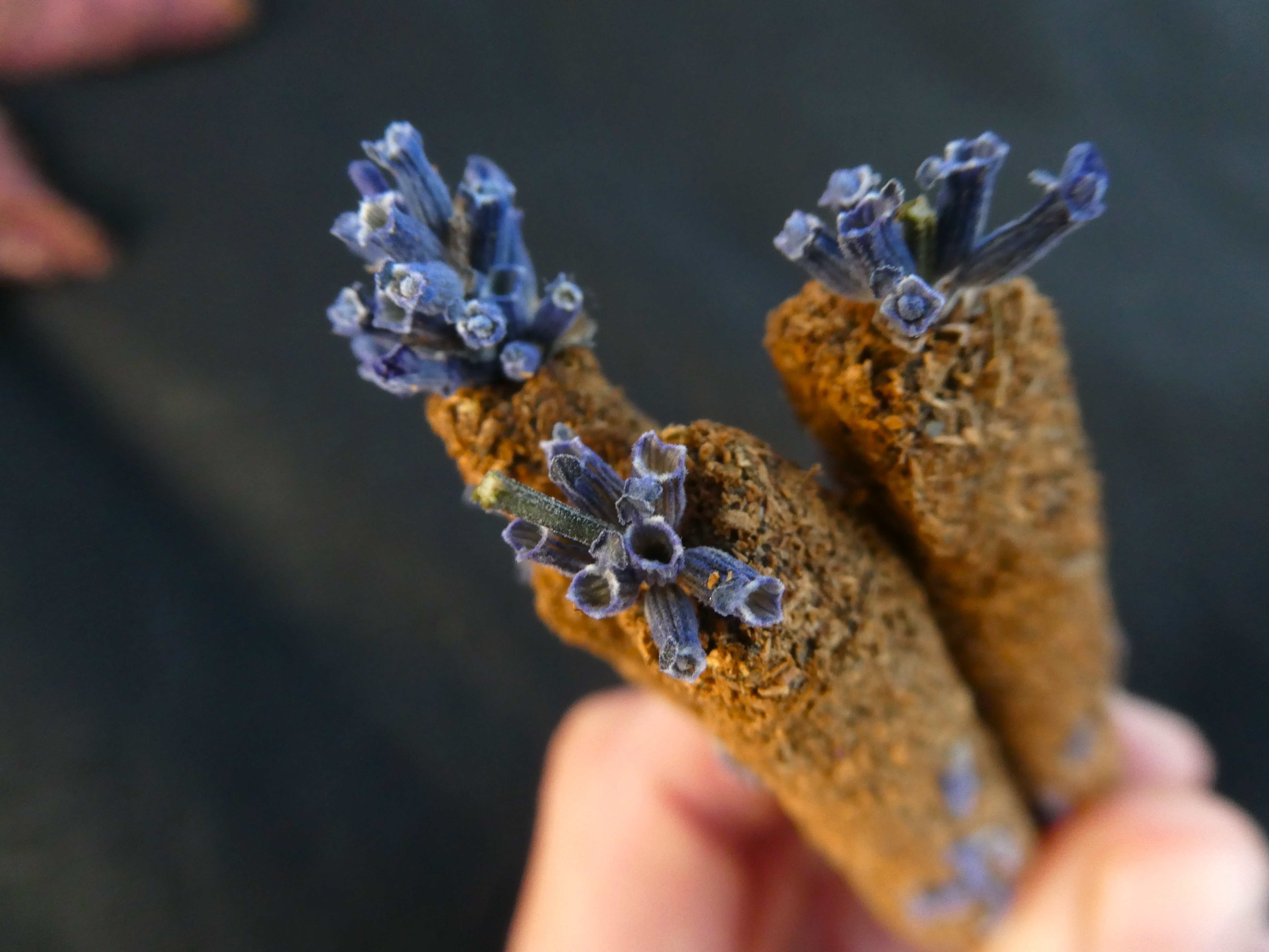 PALO SANTO Smilkalai Su Šalaviju Ir Levanda ☆💚🐍💜☆