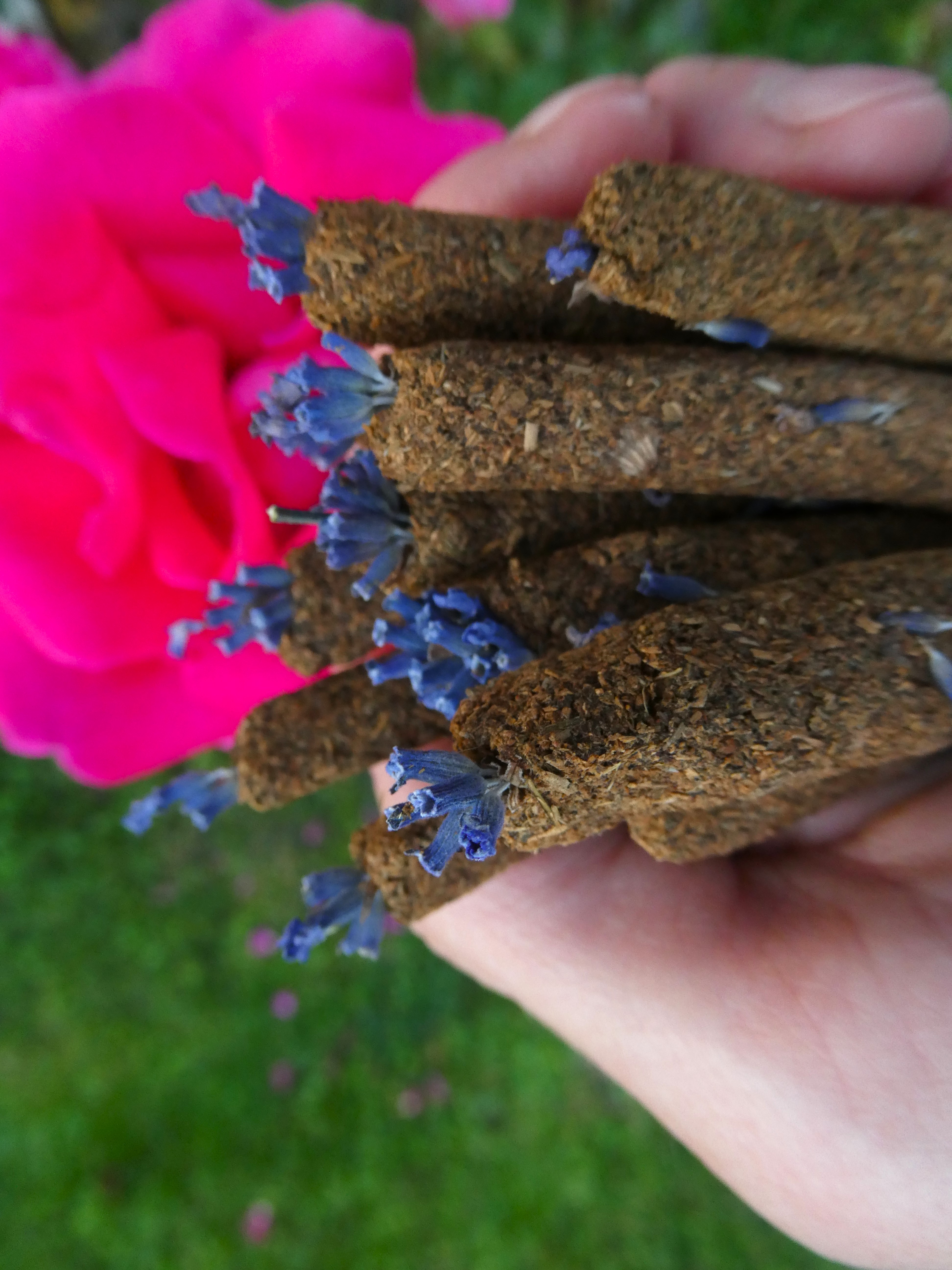 PALO SANTO Smilkalai Su Šalaviju Ir Levanda ☆💚🐍💜☆