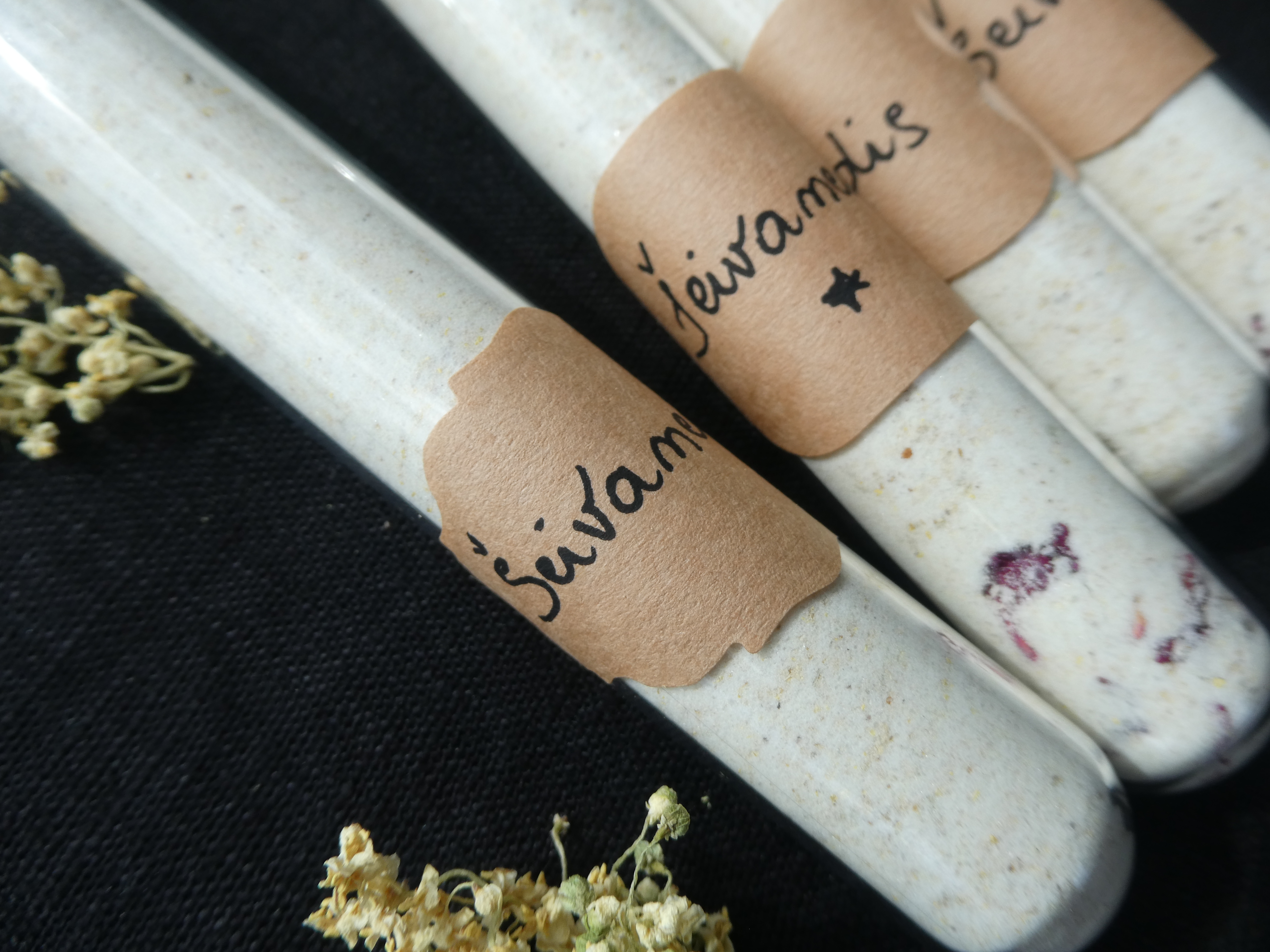 ŠEIVAMEDŽIŲ ŽIEDYNŲ DRUSKA VONIAI