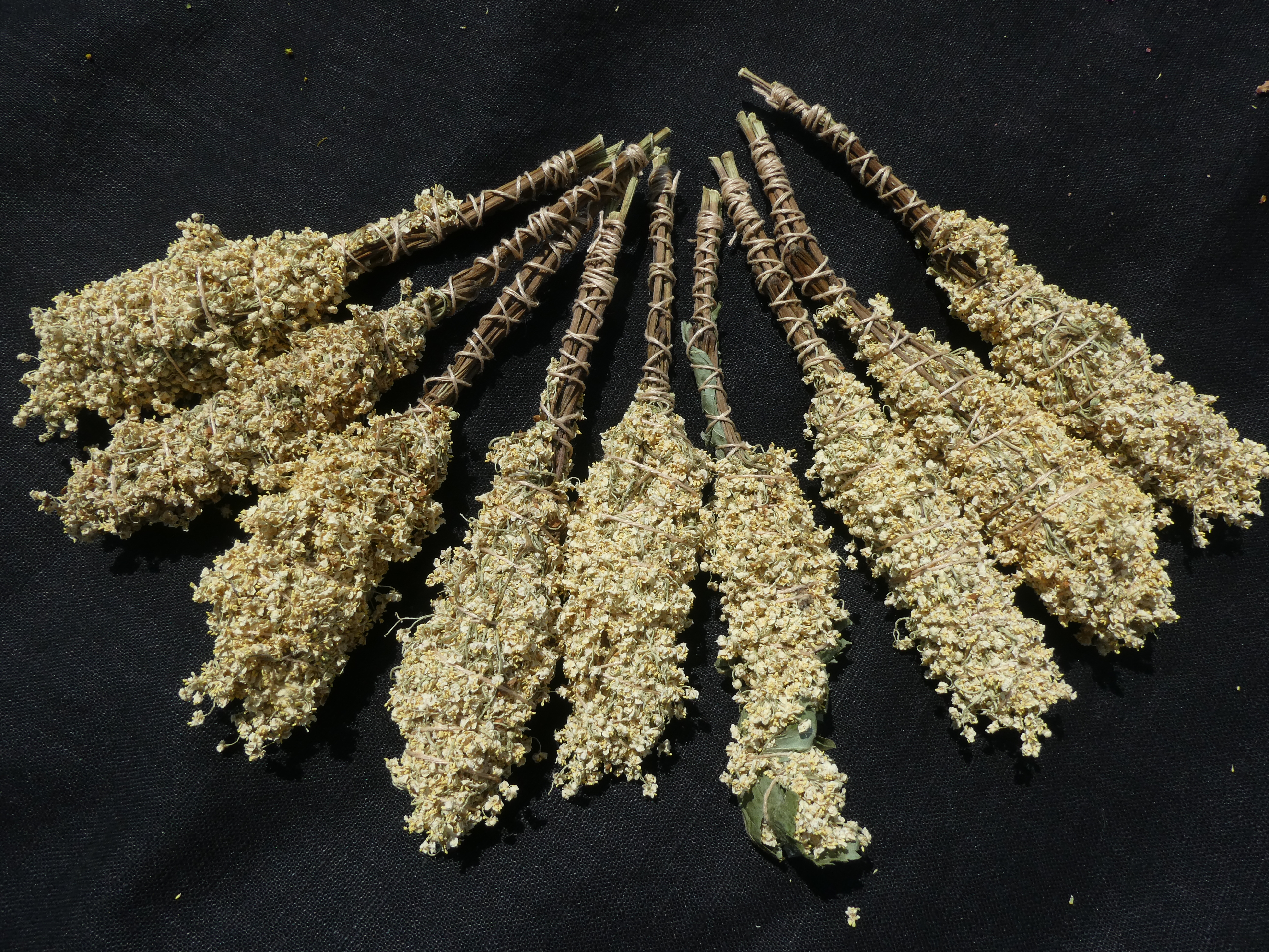 ŠEIVAMEDŽIO ŽIEDŲ RYŠULĖLIS SMILKYMUI