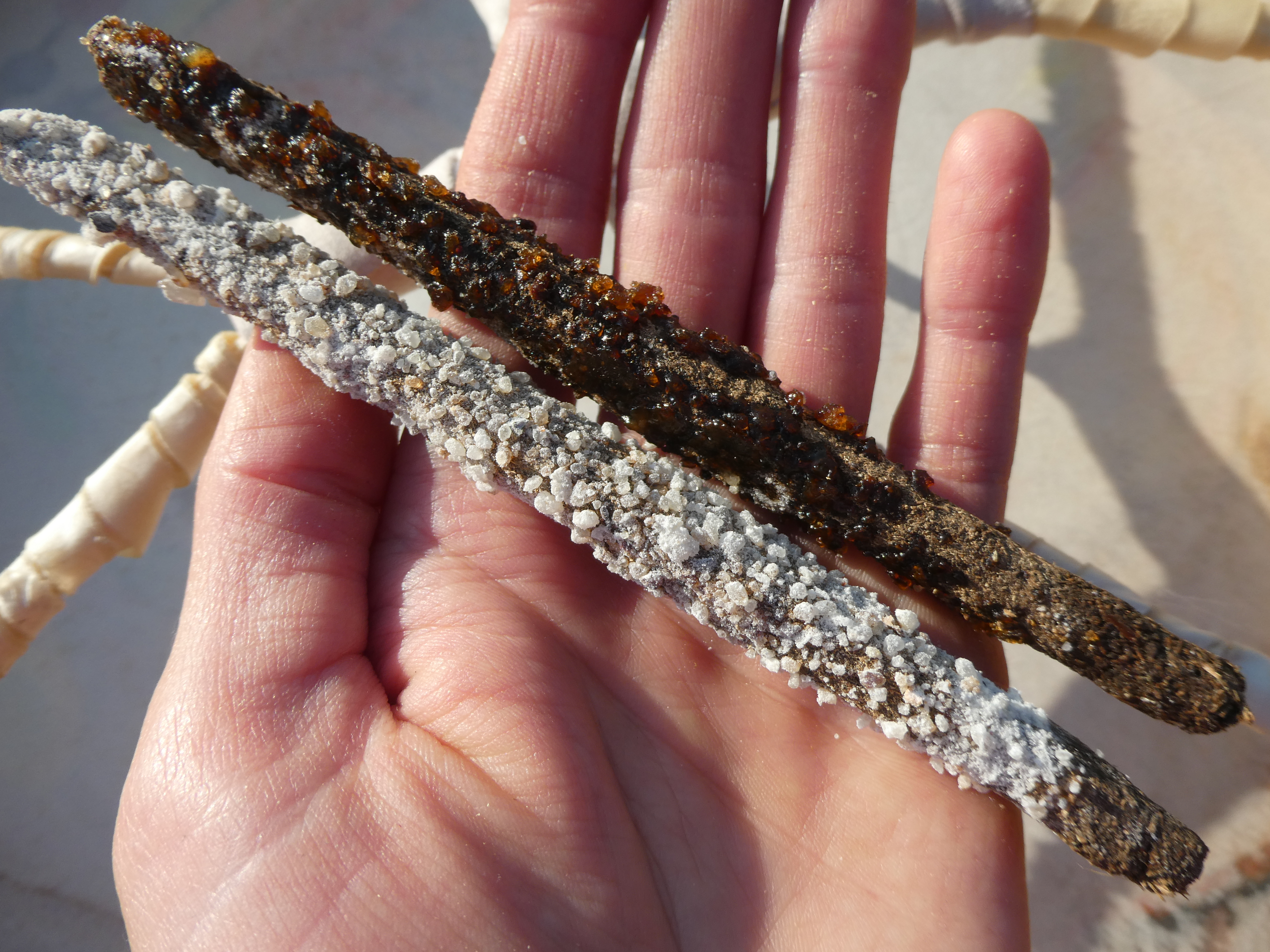 CEREMONINIAI SMILKALAI SU MIRA, FRANKINCENSU, ŽOLELĖMIS 🌀