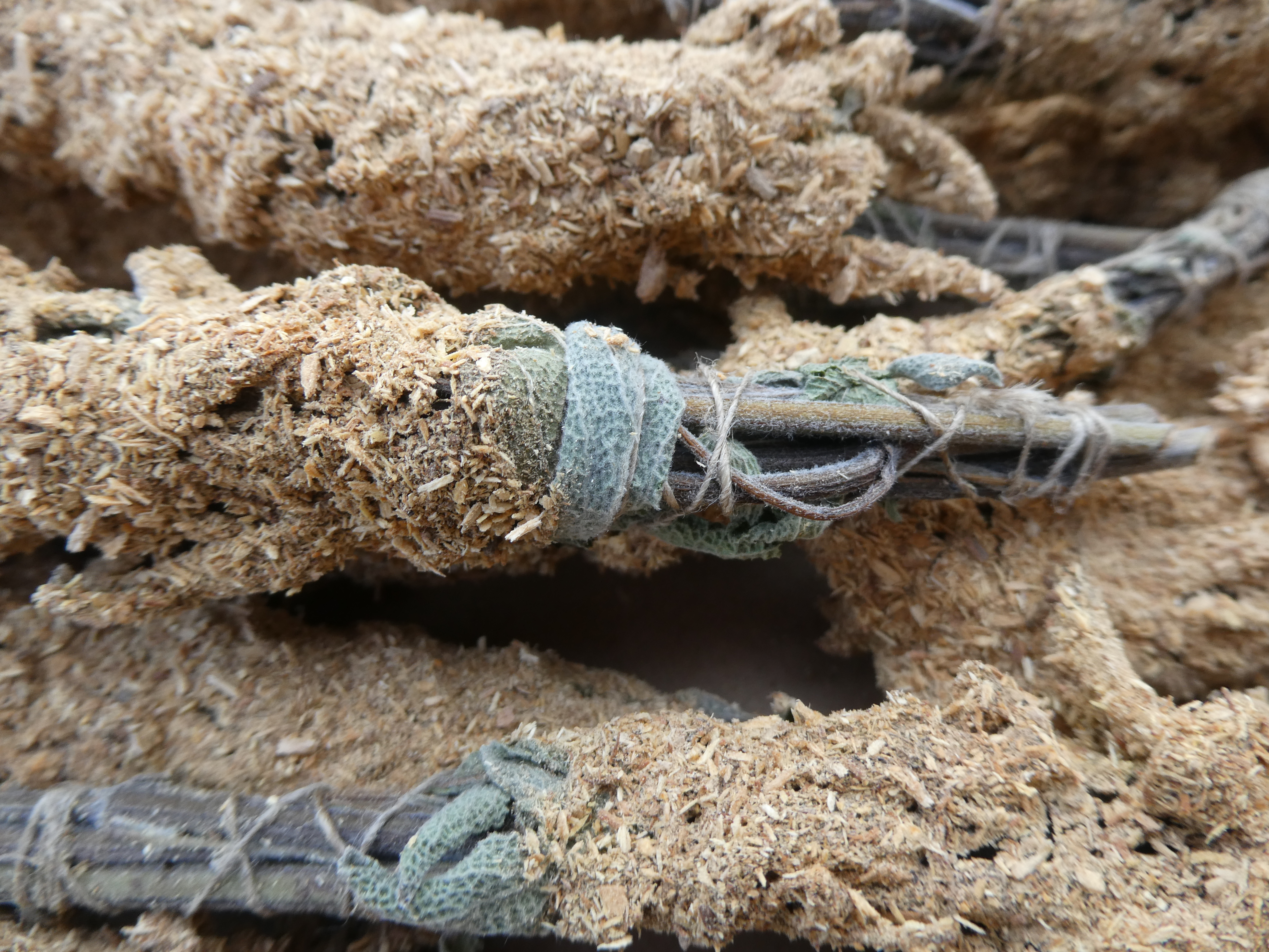 ŠALAVIJO Ryšulėlis Apvoliotas PALO SANTO 