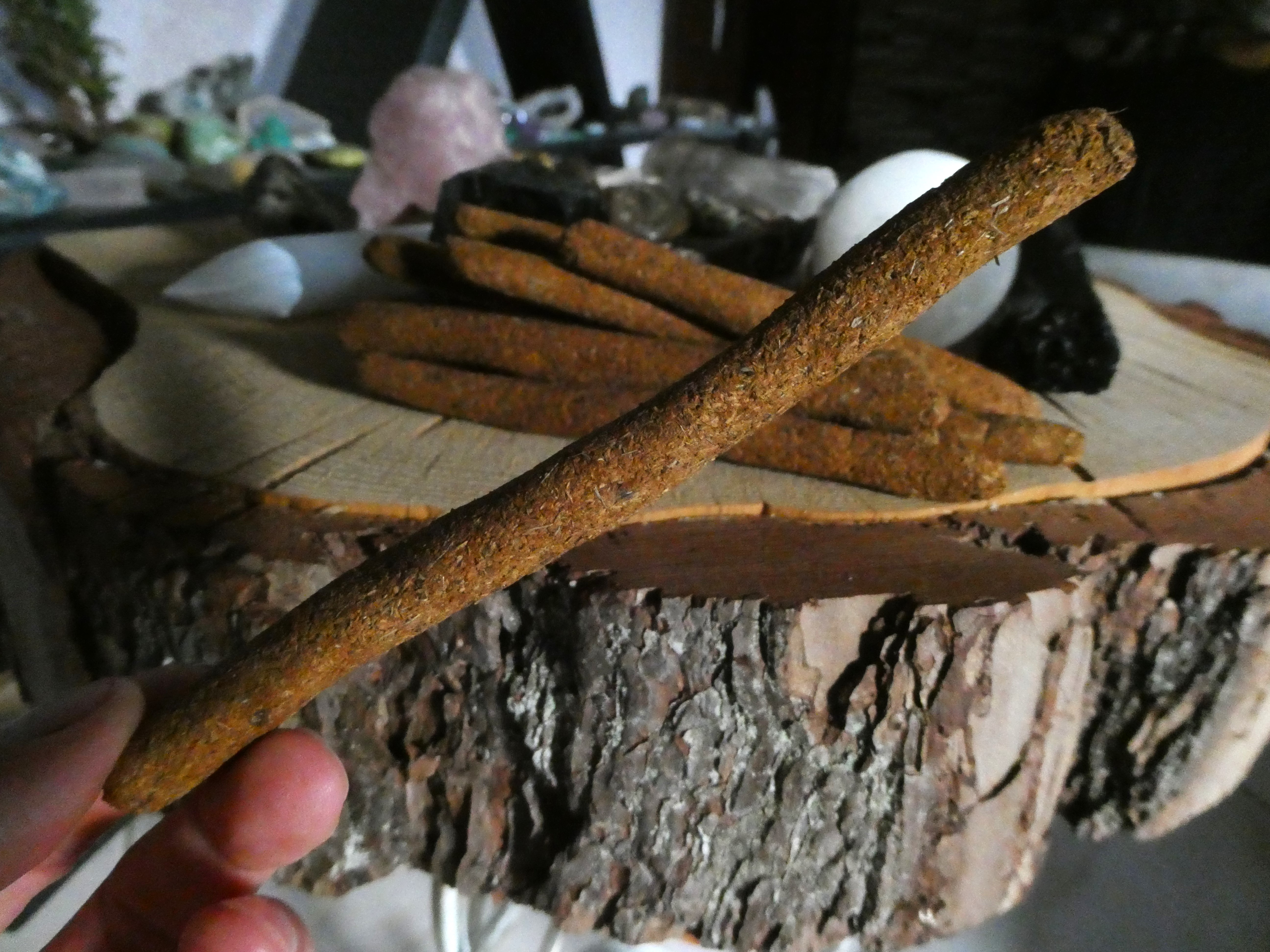 MEDŽIŲ DERMĖ 🌳🐍🔥