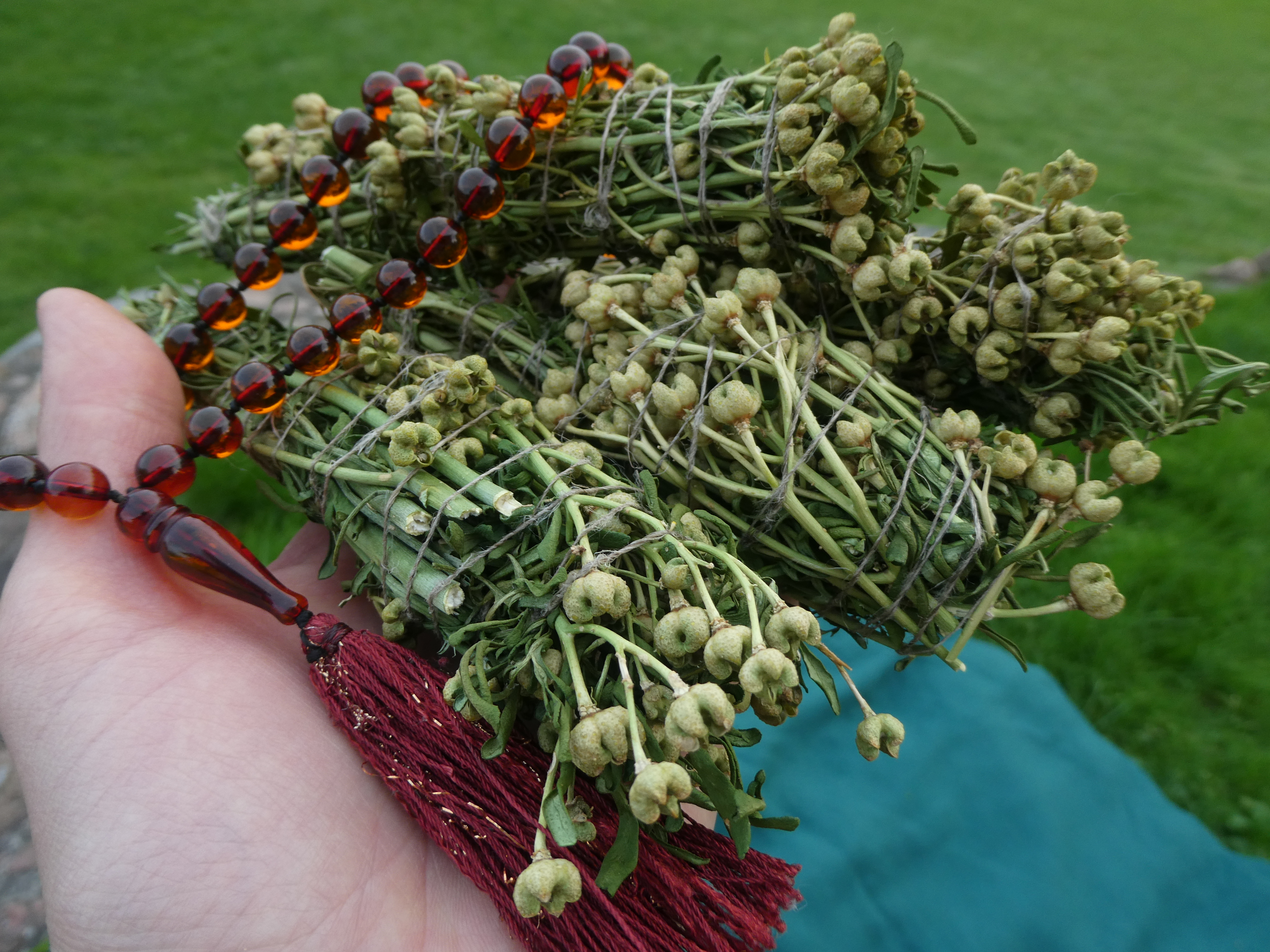 ŽALIOJI RŪTA Smilkymo Ryšulėlis