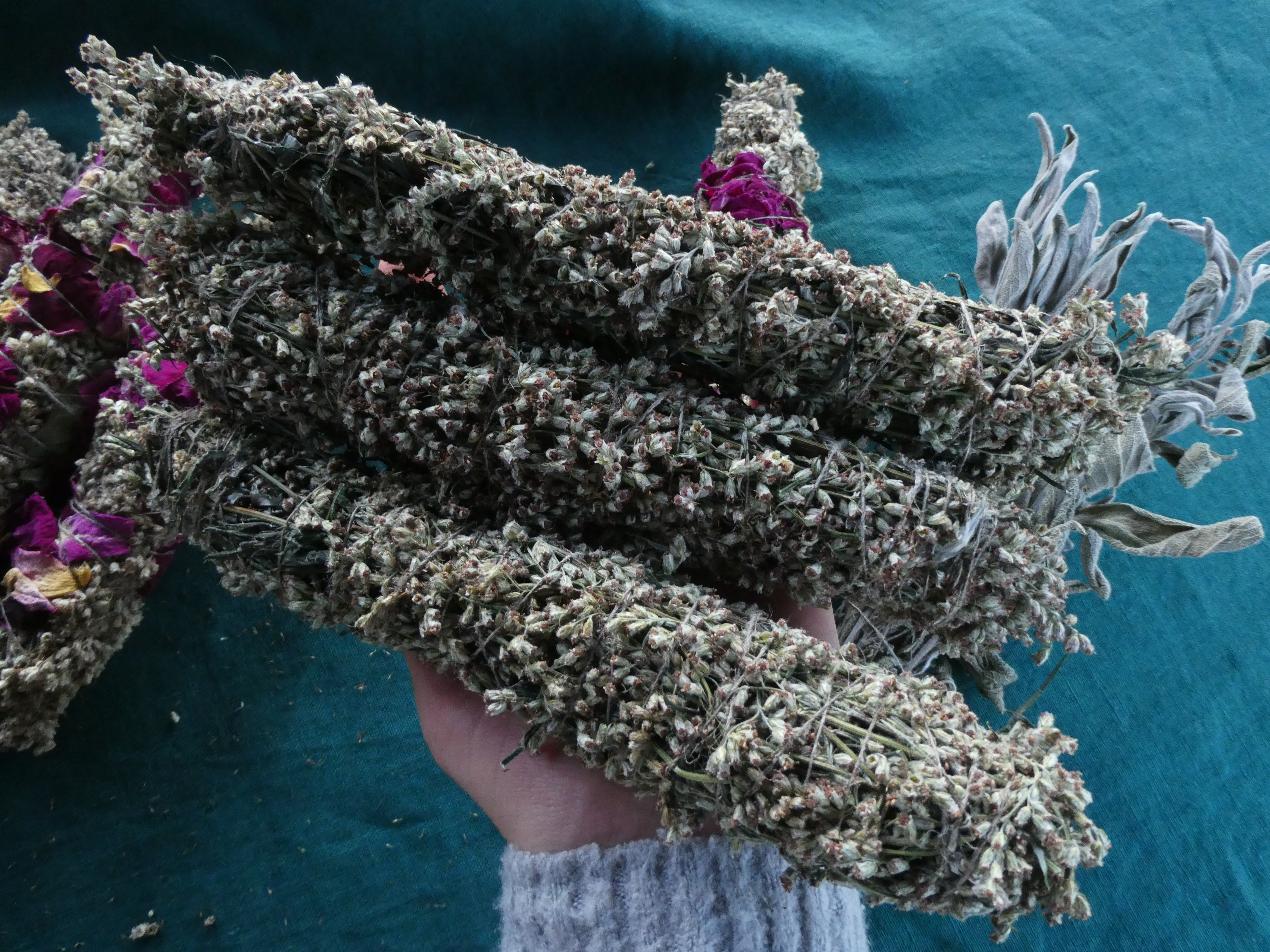 PAPRASTASIS KIETIS Artemisia Vulgaris/ Didelis Smilkymo Ryšulėlis