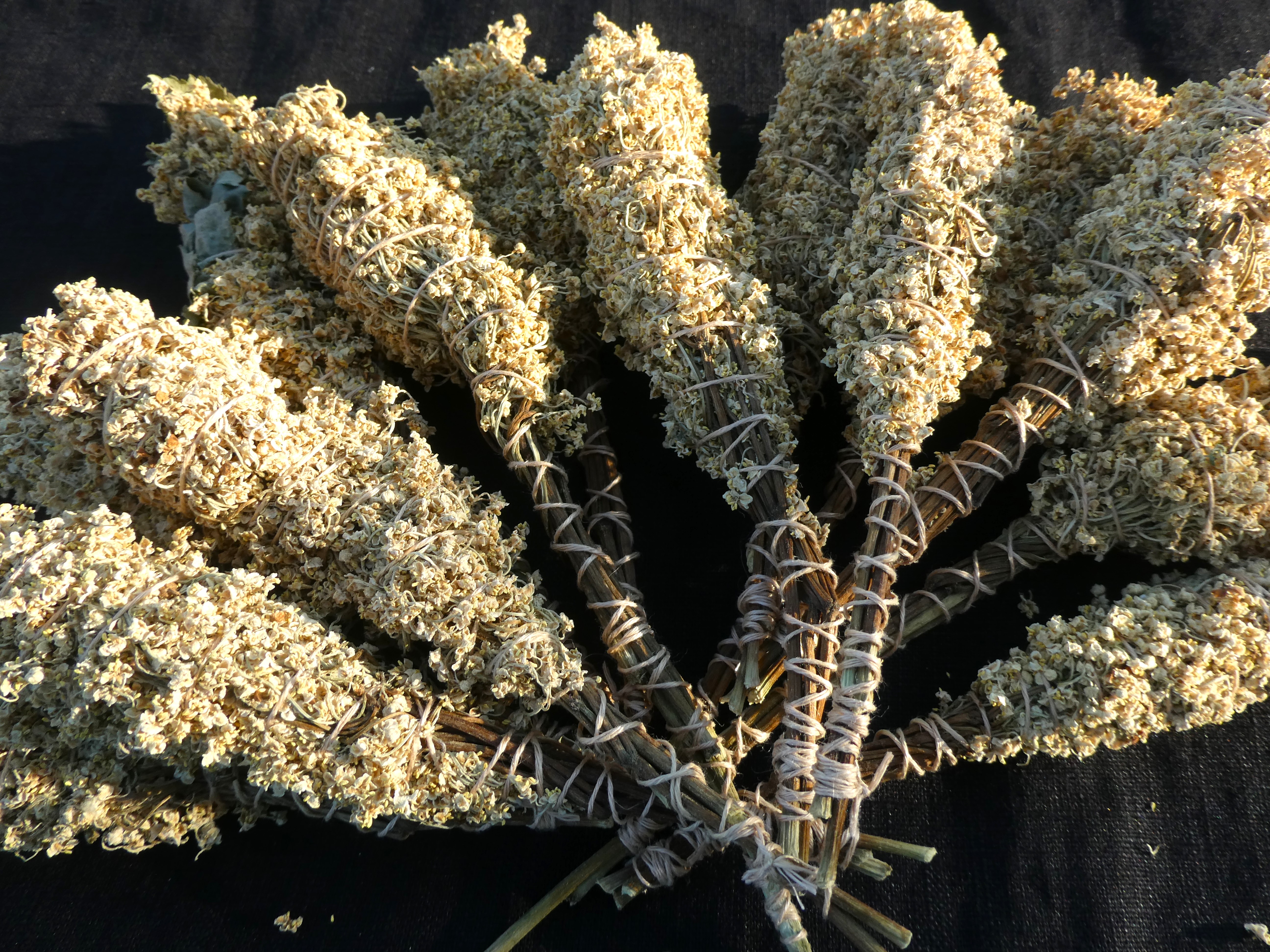 ŠEIVAMEDŽIO ŽIEDŲ RYŠULĖLIS SMILKYMUI