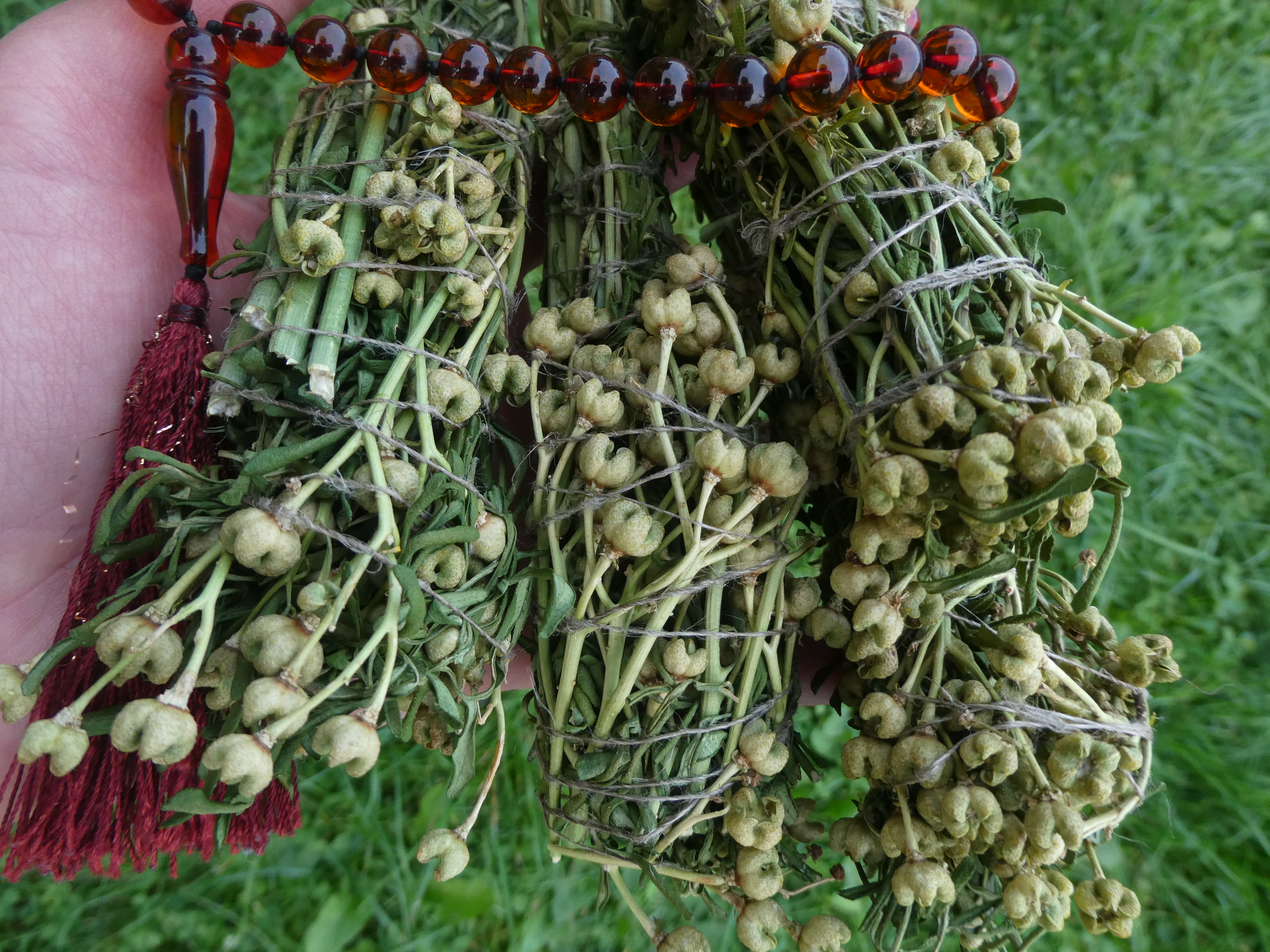 ŽALIOJI RŪTA Smilkymo Ryšulėlis