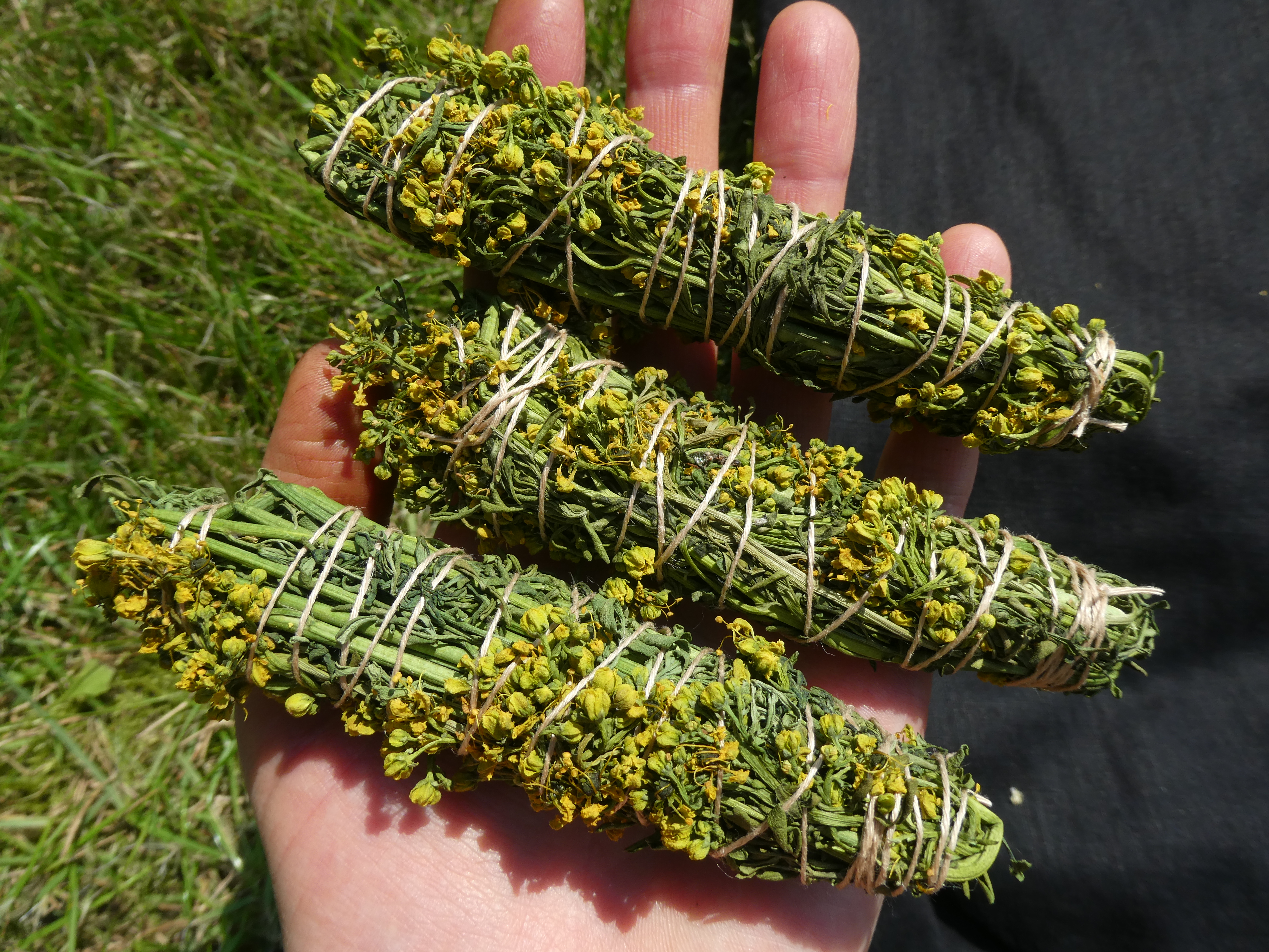 ŽALIOJI RŪTA Smilkymo Ryšulėlis