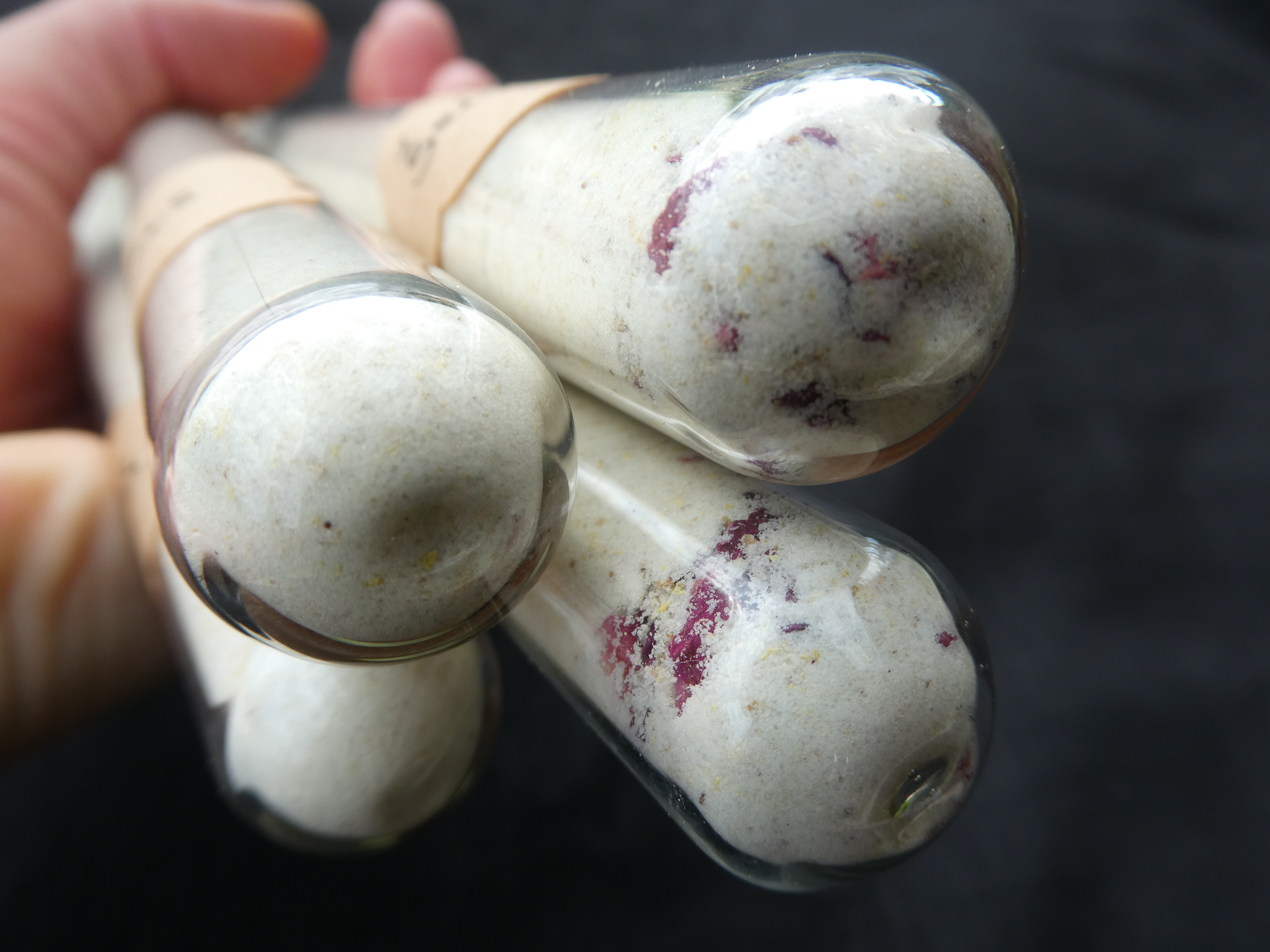 ŠEIVAMEDŽIŲ ŽIEDYNŲ DRUSKA VONIAI