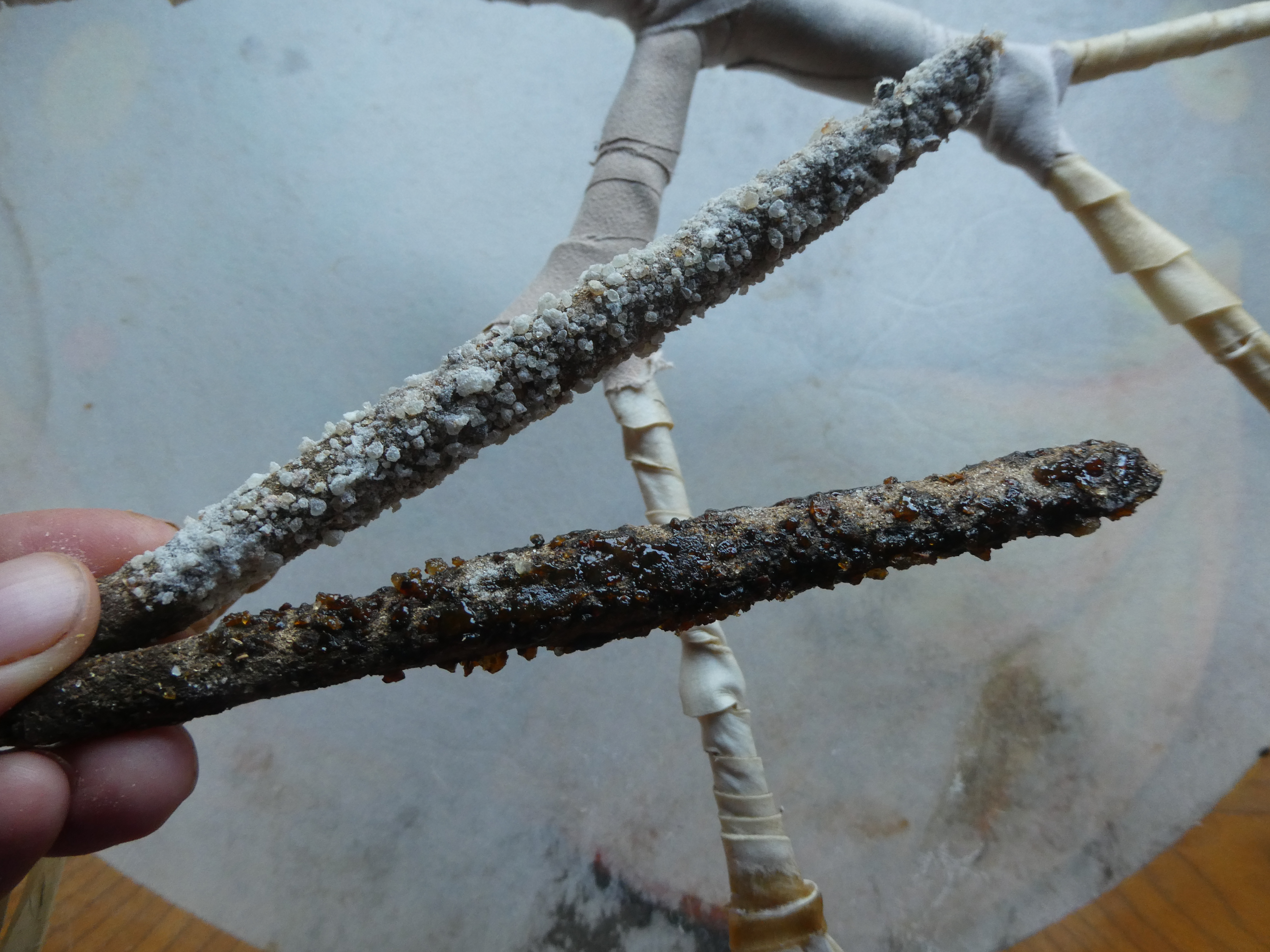 CEREMONINIAI SMILKALAI SU MIRA, FRANKINCENSU, ŽOLELĖMIS 🌀