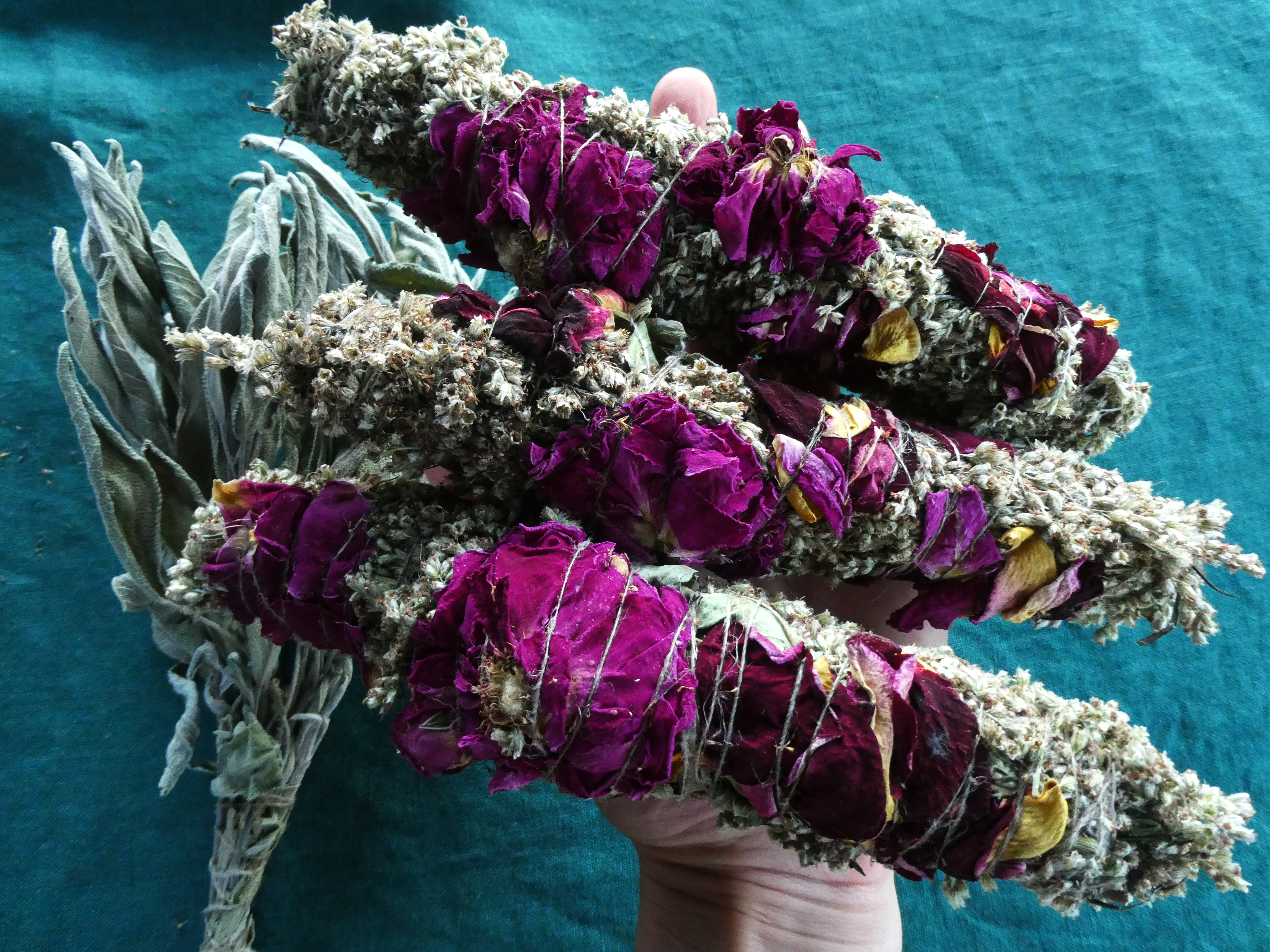 PAPRASTASIS KIETIS SU ROŽĖMIS 🌹🌹🌹🐍 Artemisia Vulgaris