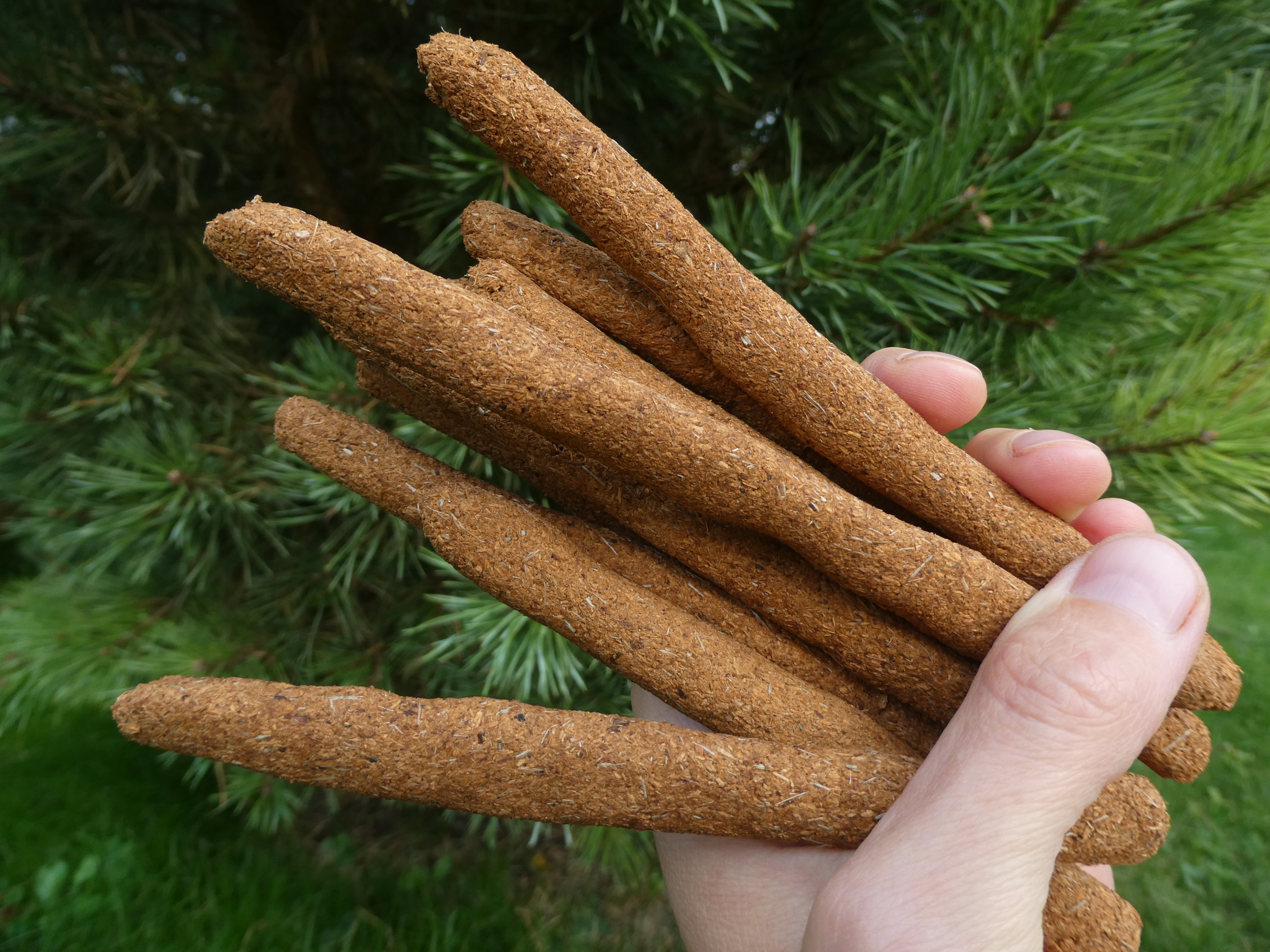 MEDŽIŲ DERMĖ 🌳🐍🔥