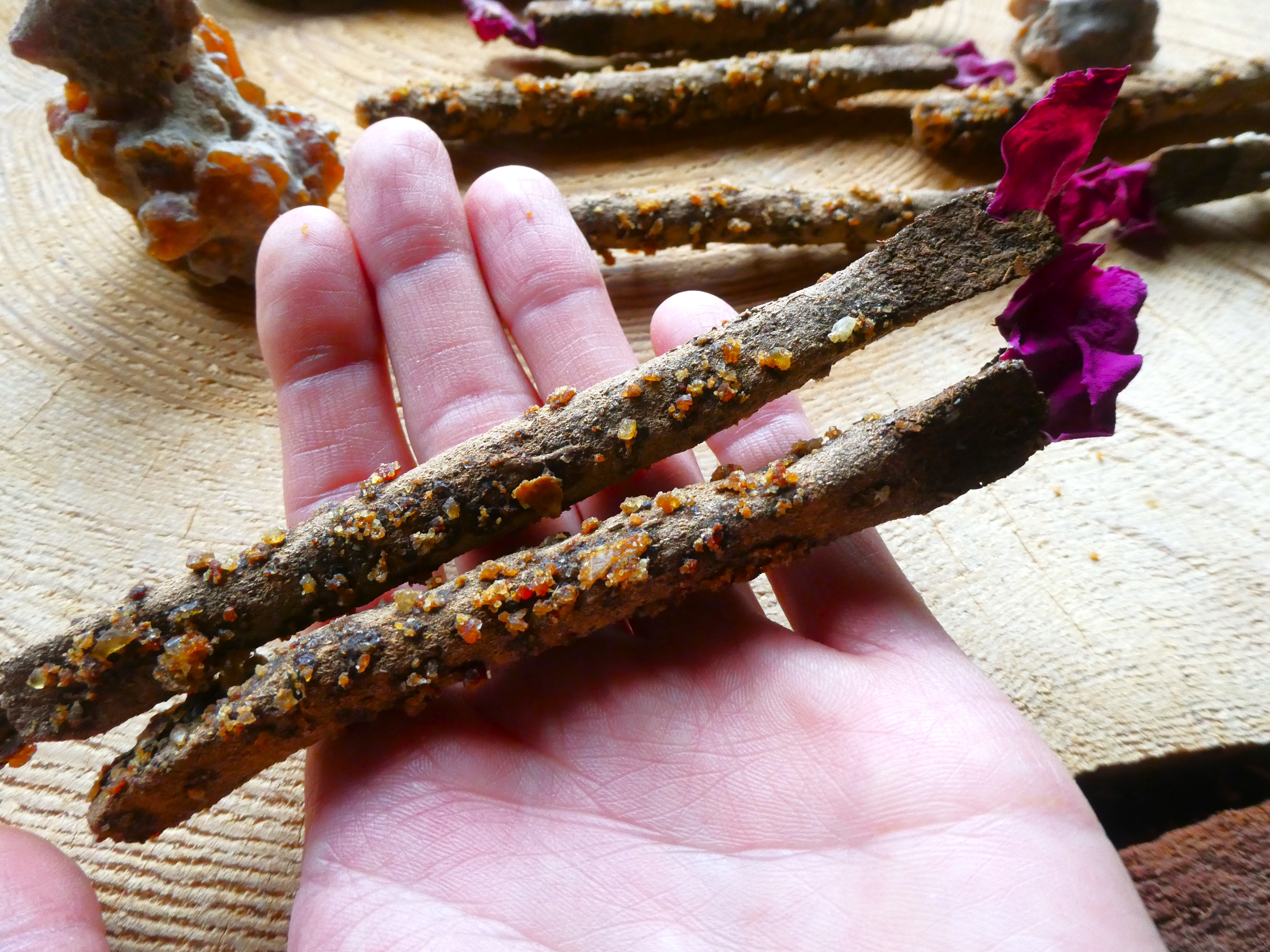 MIROS SMILKALAI Su MĖTA Ir ŠALAVIJU