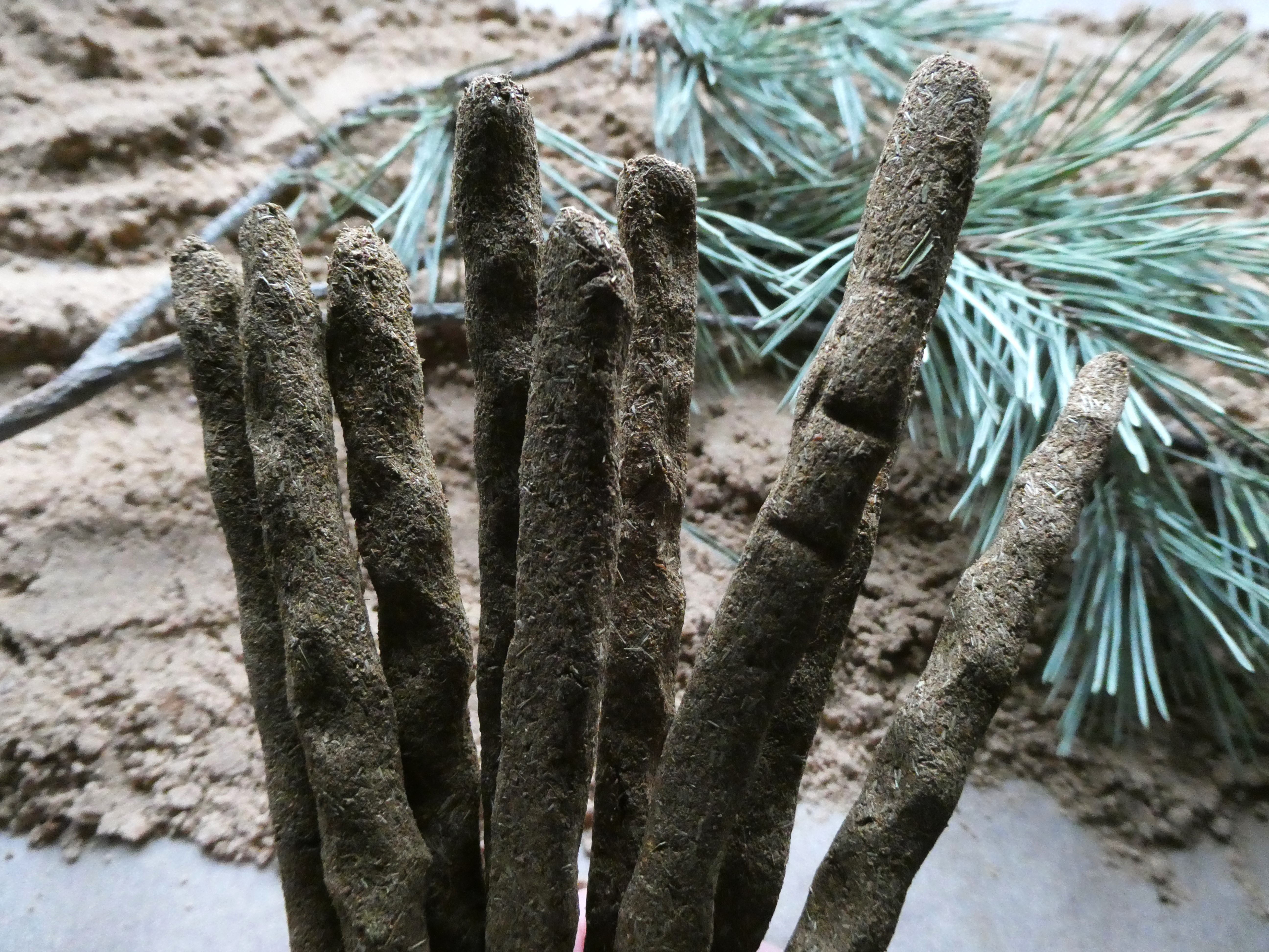 Smilkalai PUŠŲ DNR