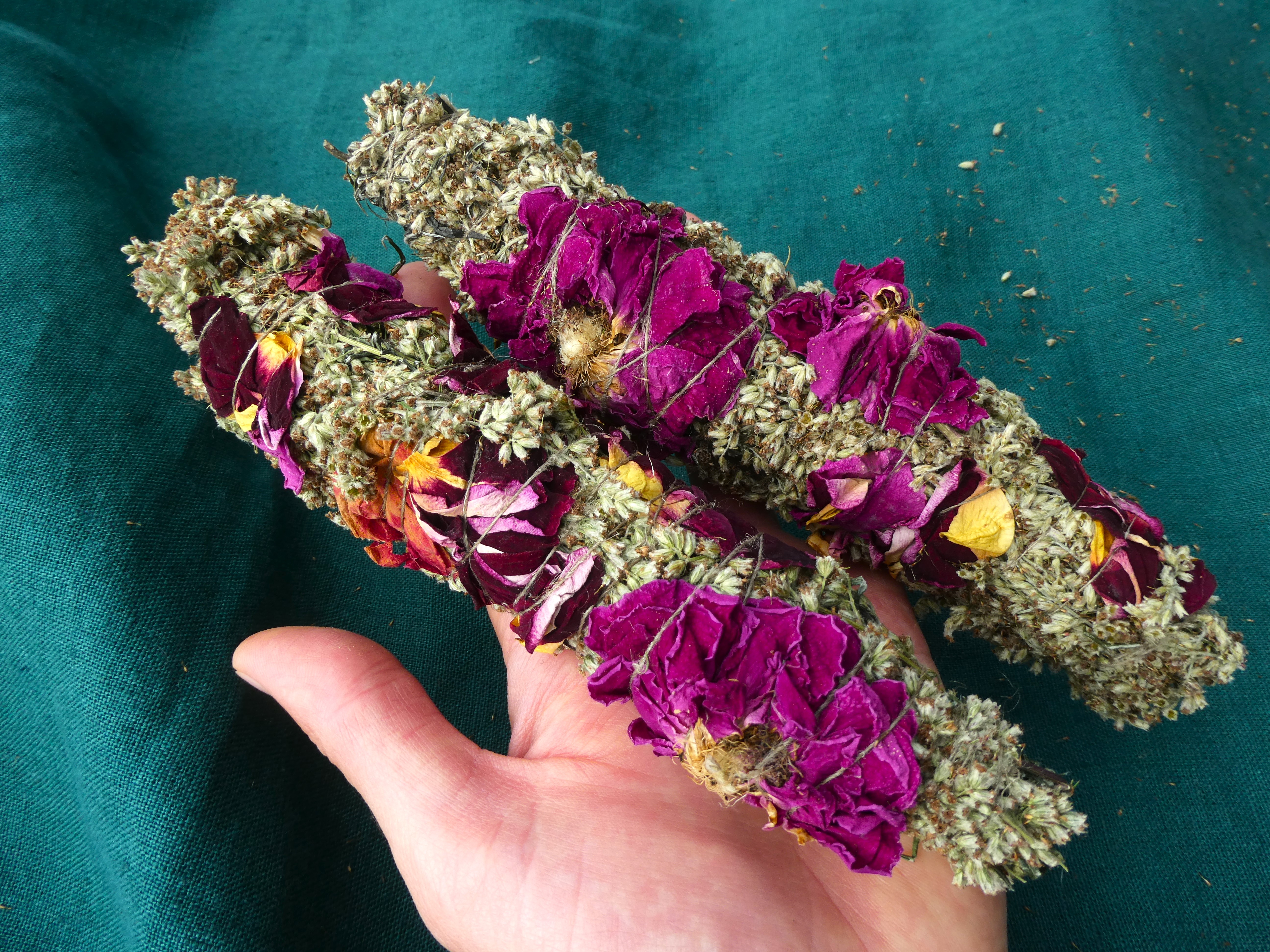 PAPRASTASIS KIETIS SU ROŽĖMIS 🌹🌹🌹🐍 Artemisia Vulgaris