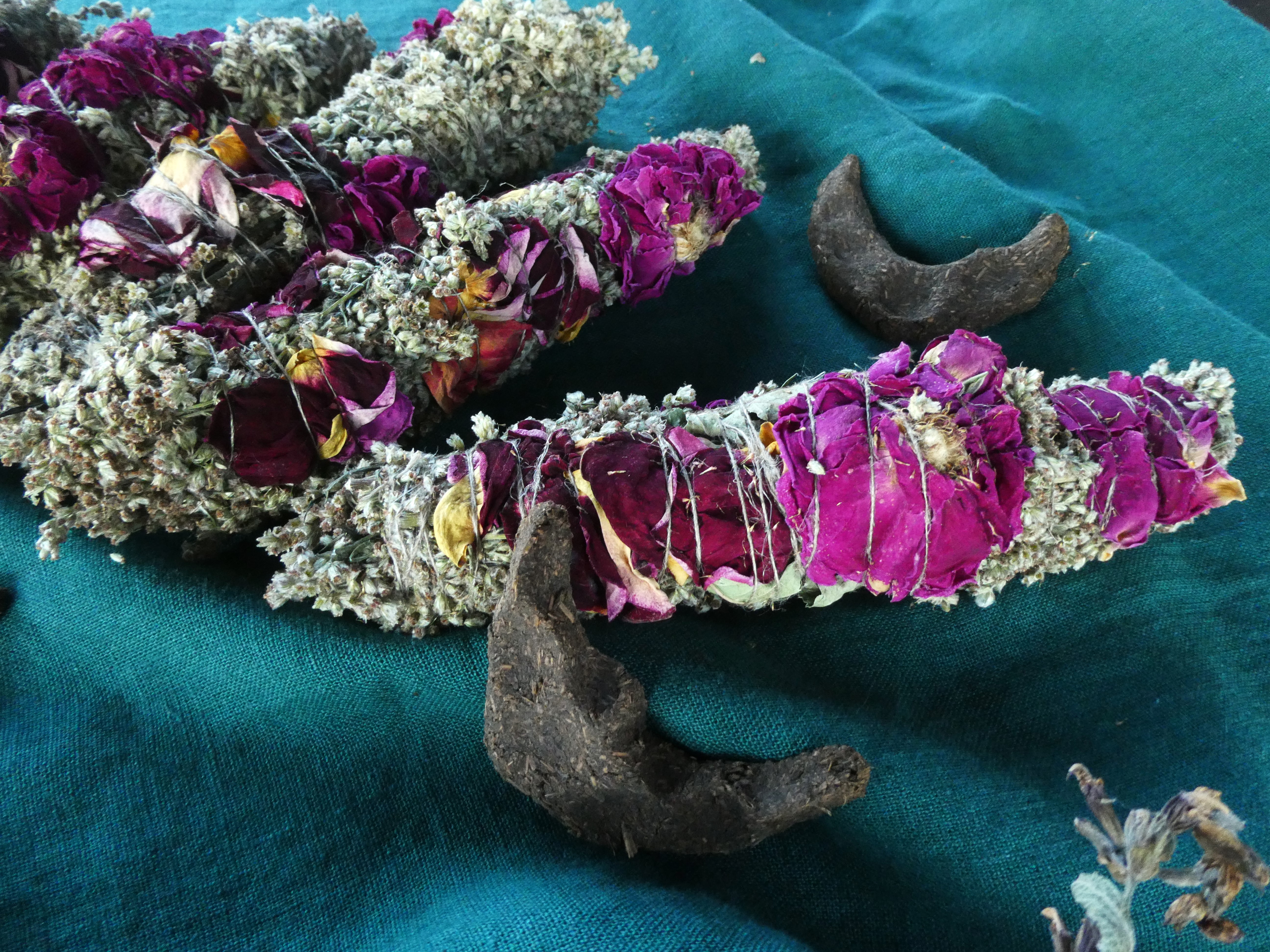 PAPRASTASIS KIETIS SU ROŽĖMIS 🌹🌹🌹🐍 Artemisia Vulgaris