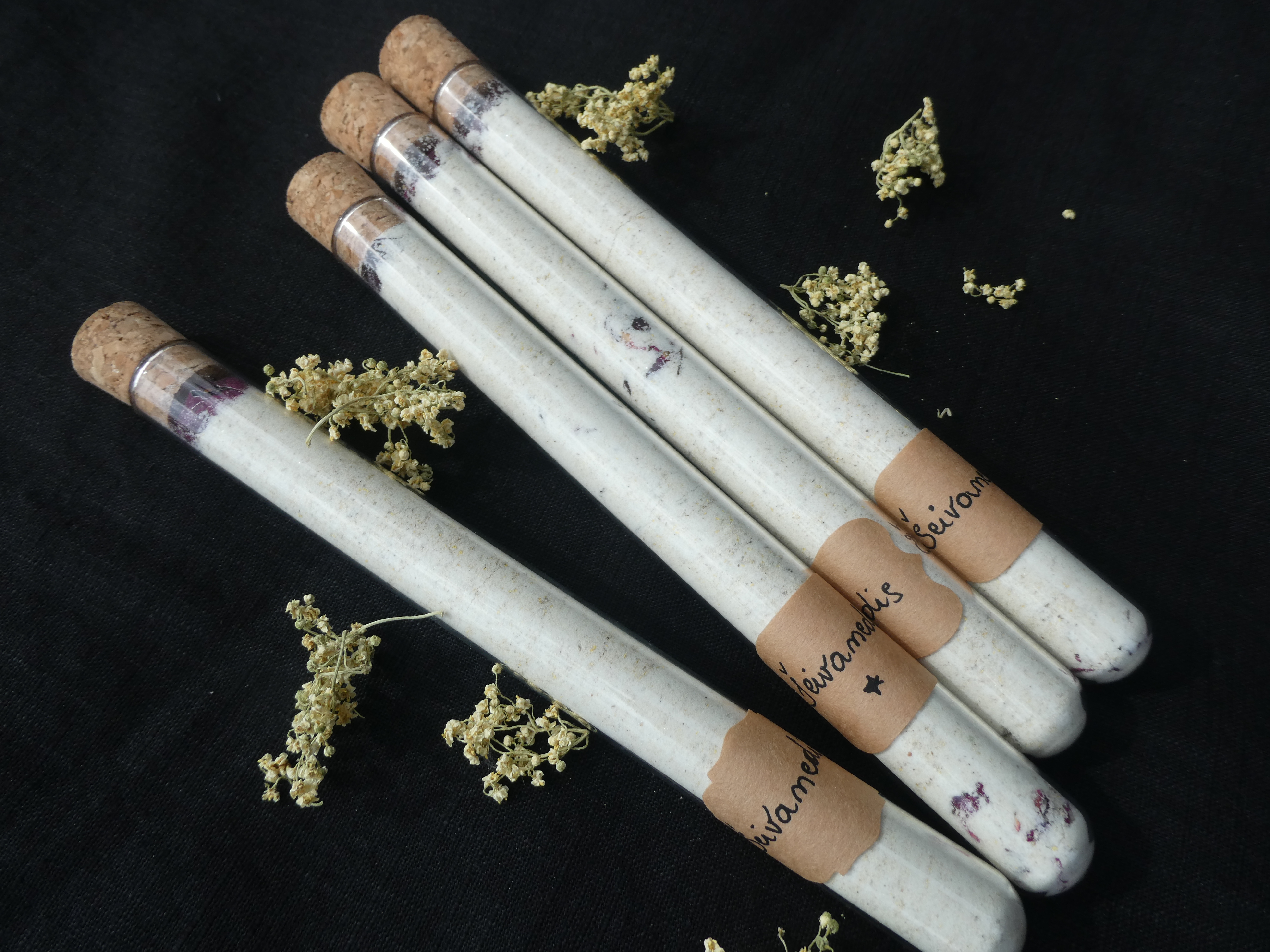 ŠEIVAMEDŽIŲ ŽIEDYNŲ DRUSKA VONIAI