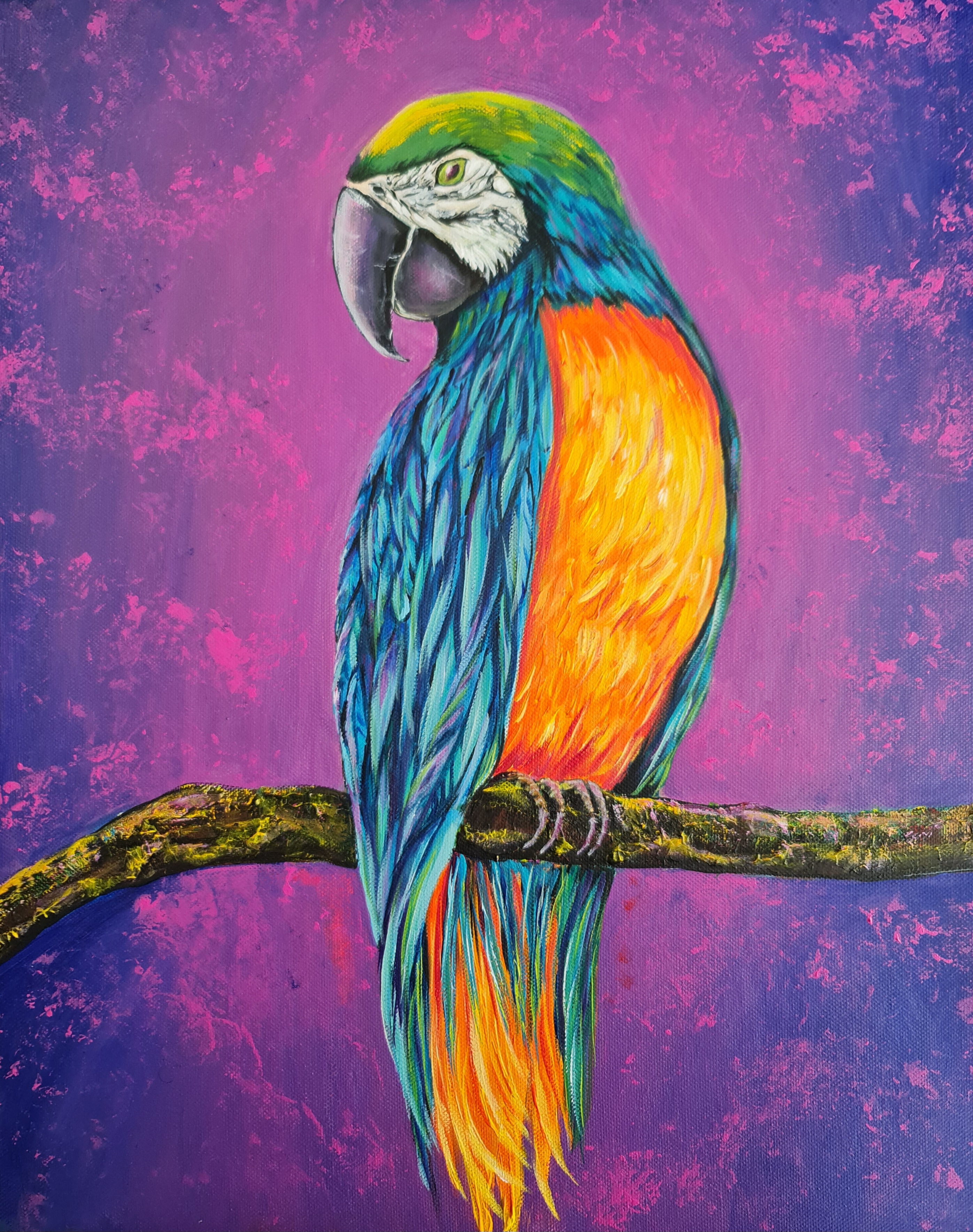 Colorful Parrot Art