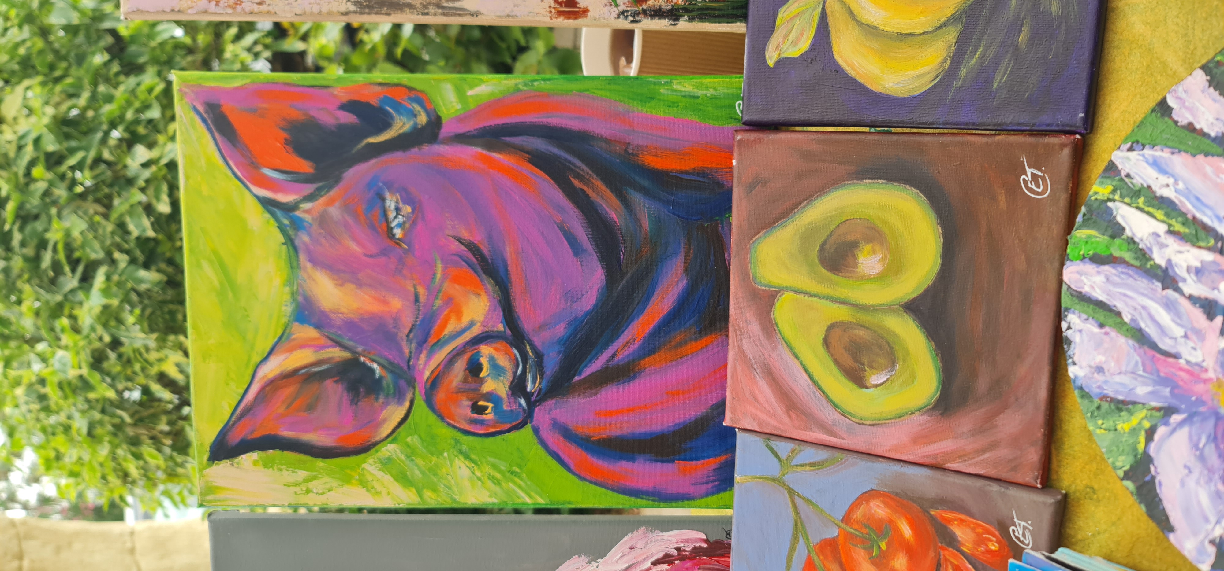 Colorful Pig Painting