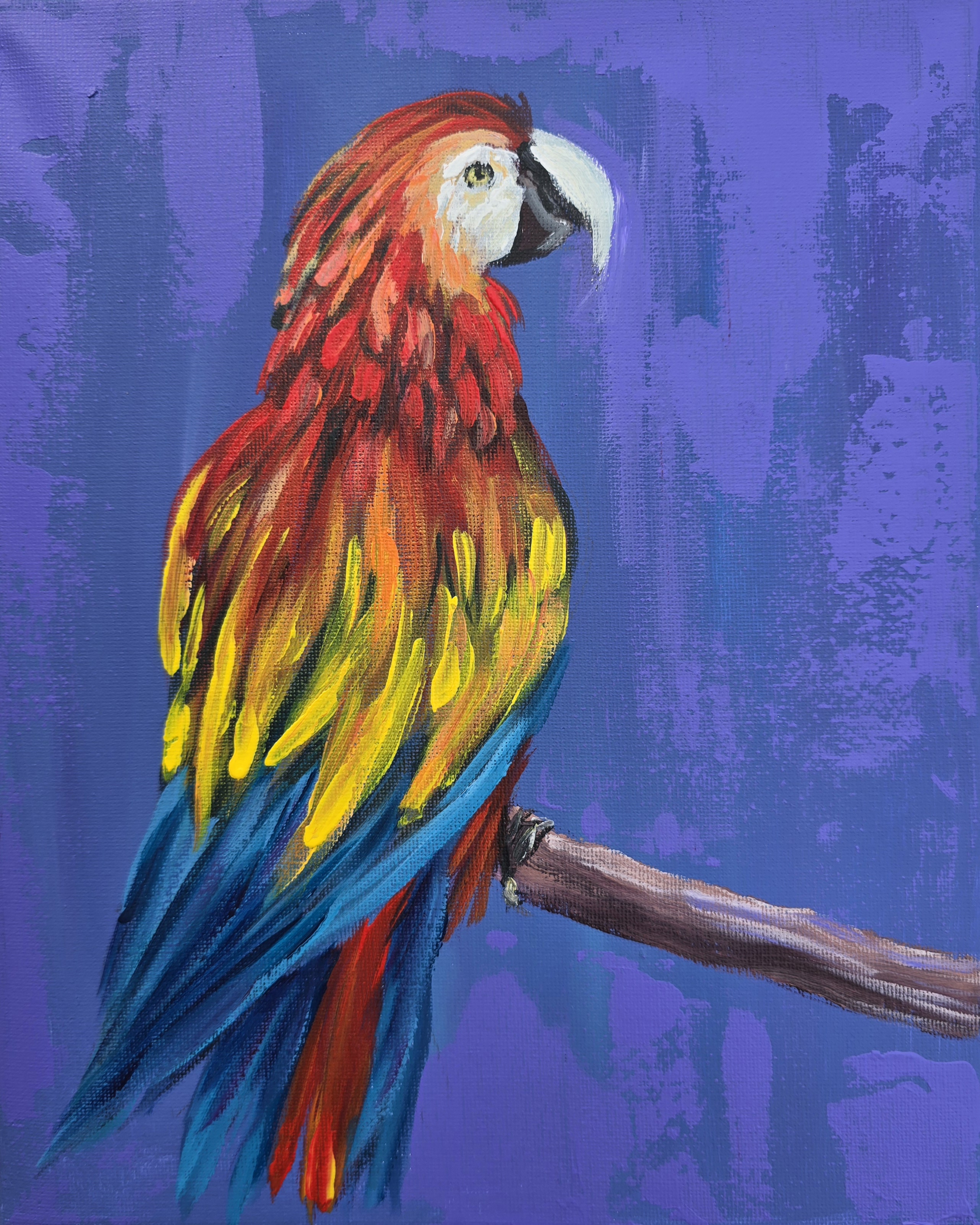 Colorful Parrot Painting