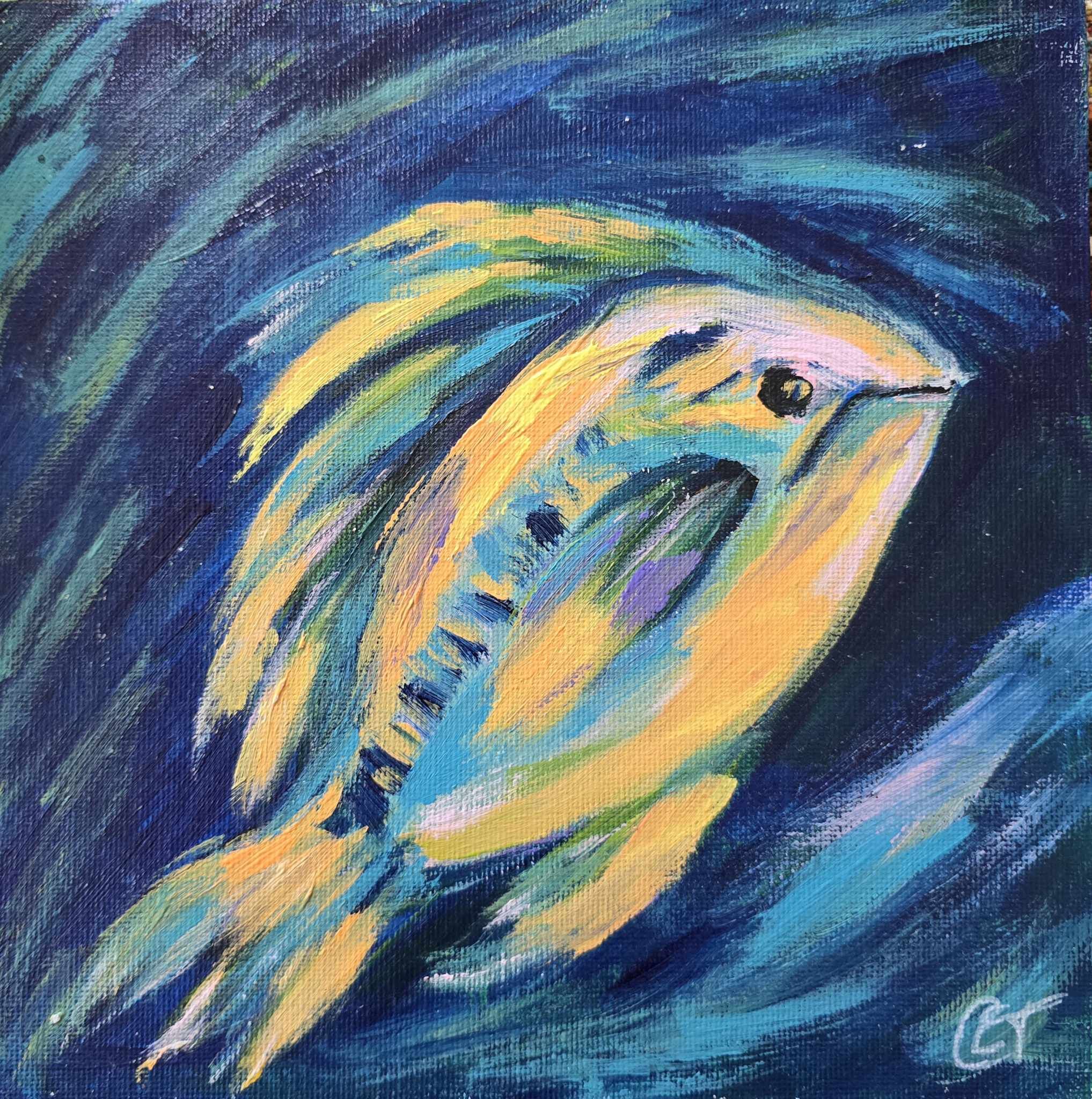 Abstract Fish Artwork