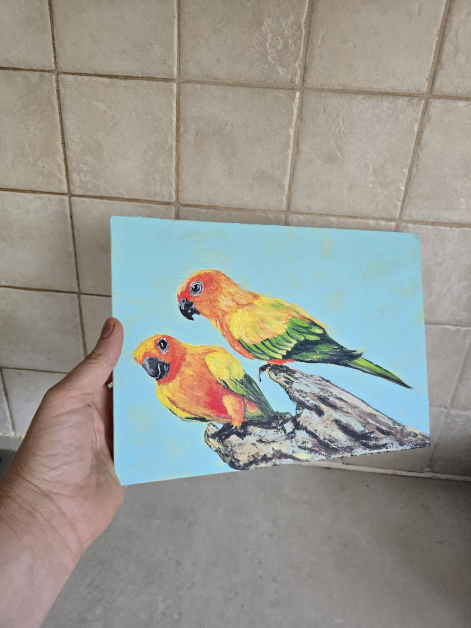 Parrot Painting on Canvas, Conure Couple