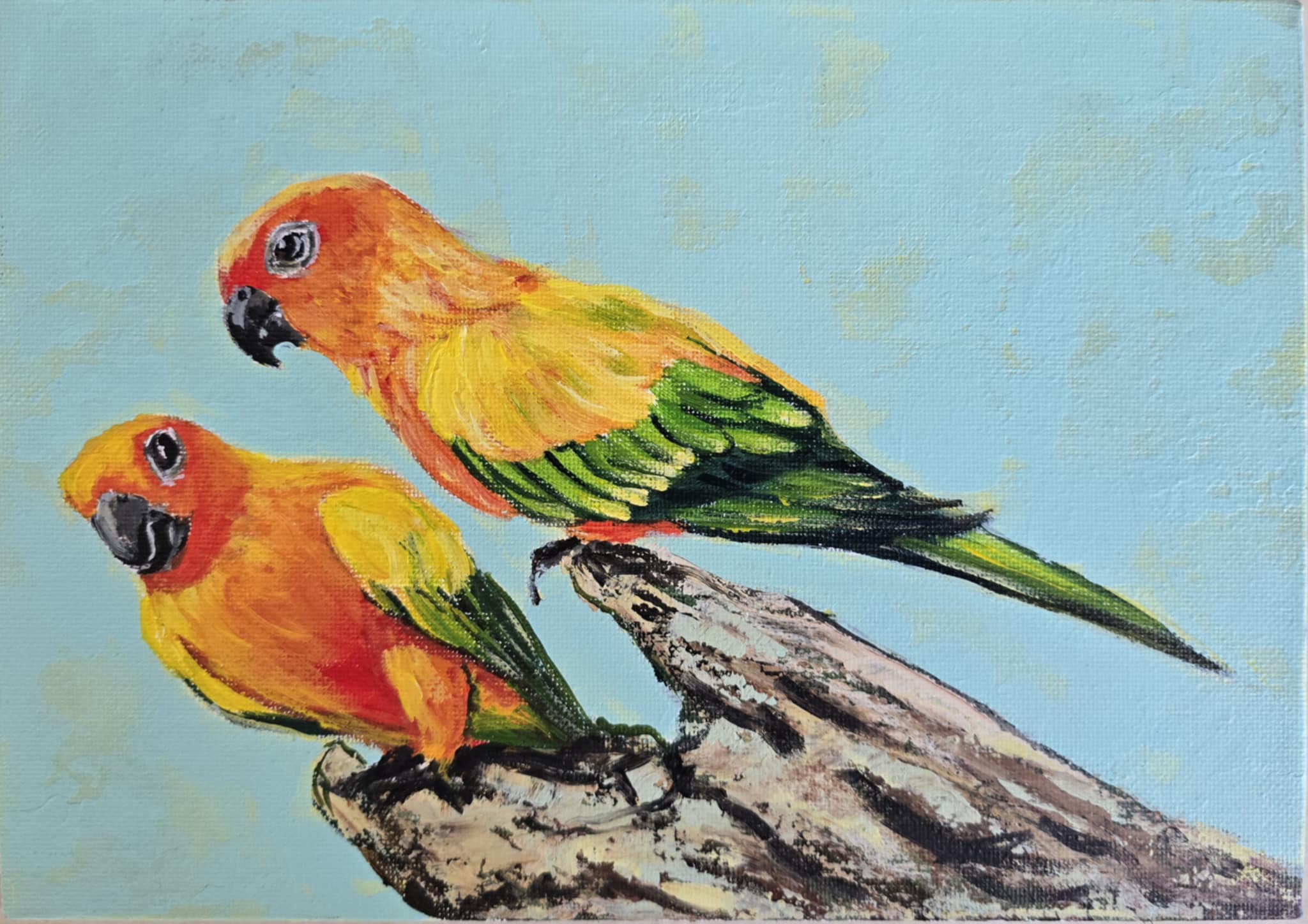 Parrot Painting on Canvas, Conure Couple