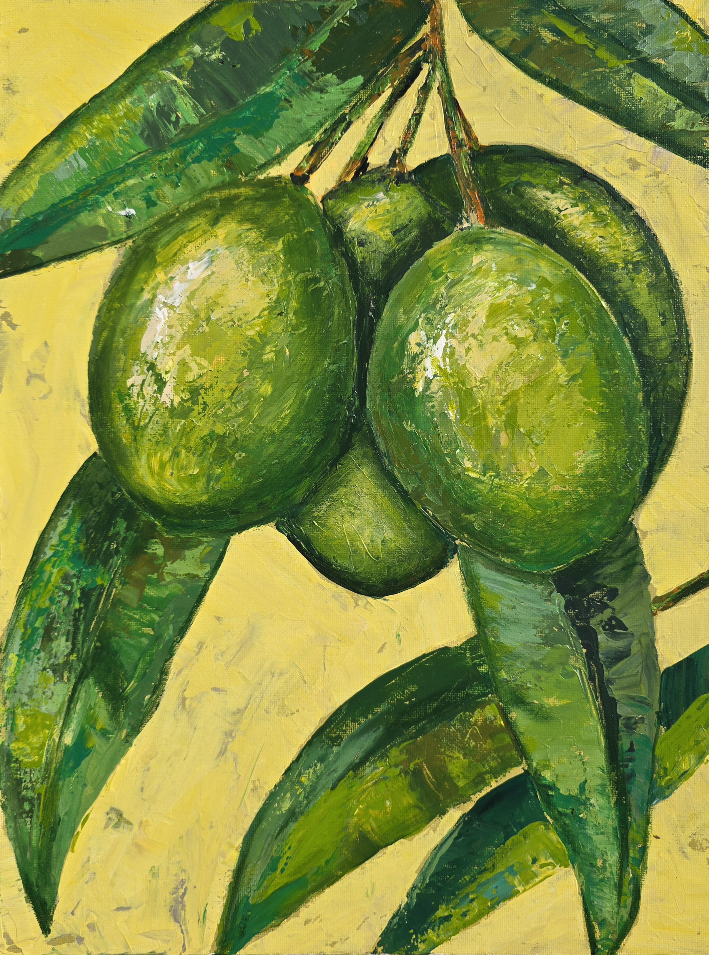Green Olives 
