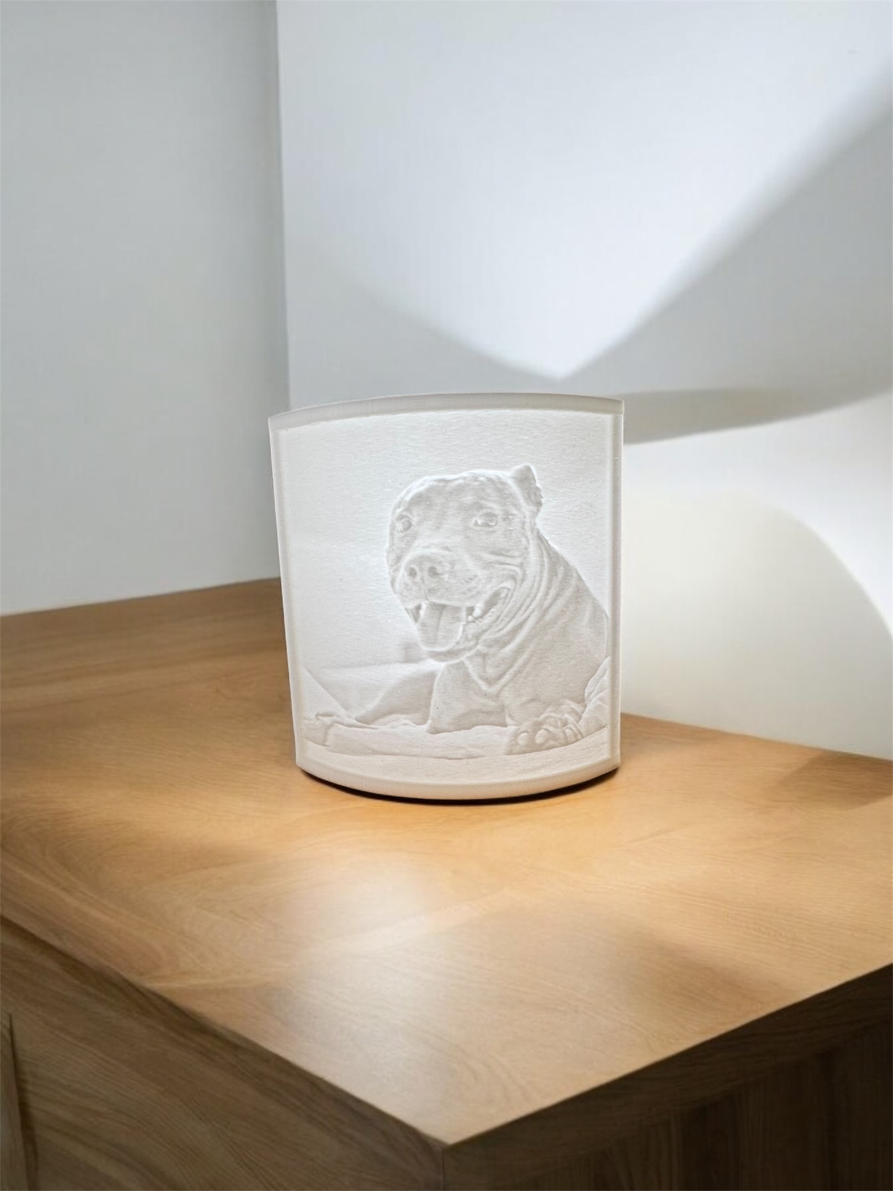 Litofania 3d- foto personalizzata in rilievo con lampadina