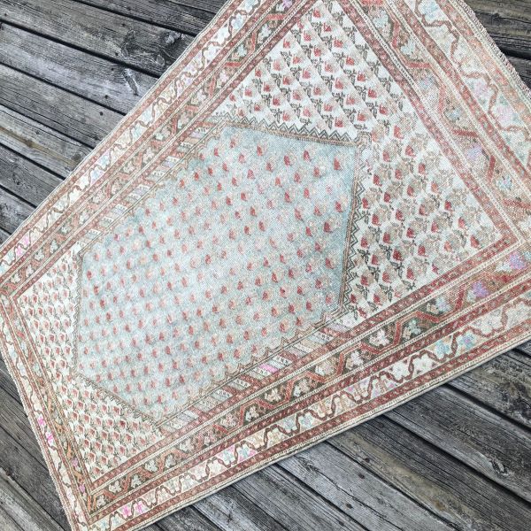 4x7 Floral Worn Rug 